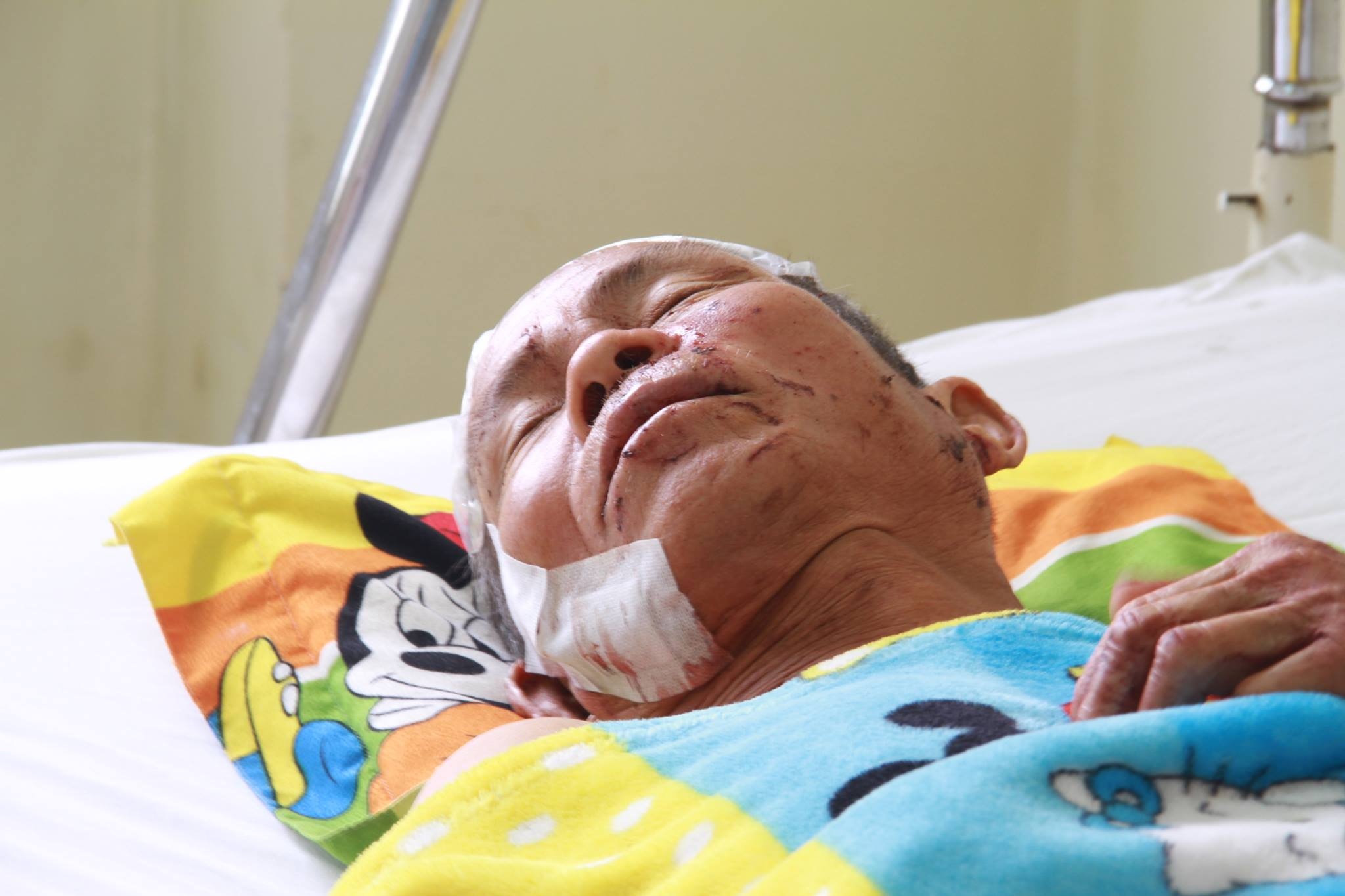 lo nui Nha Trang anh 3