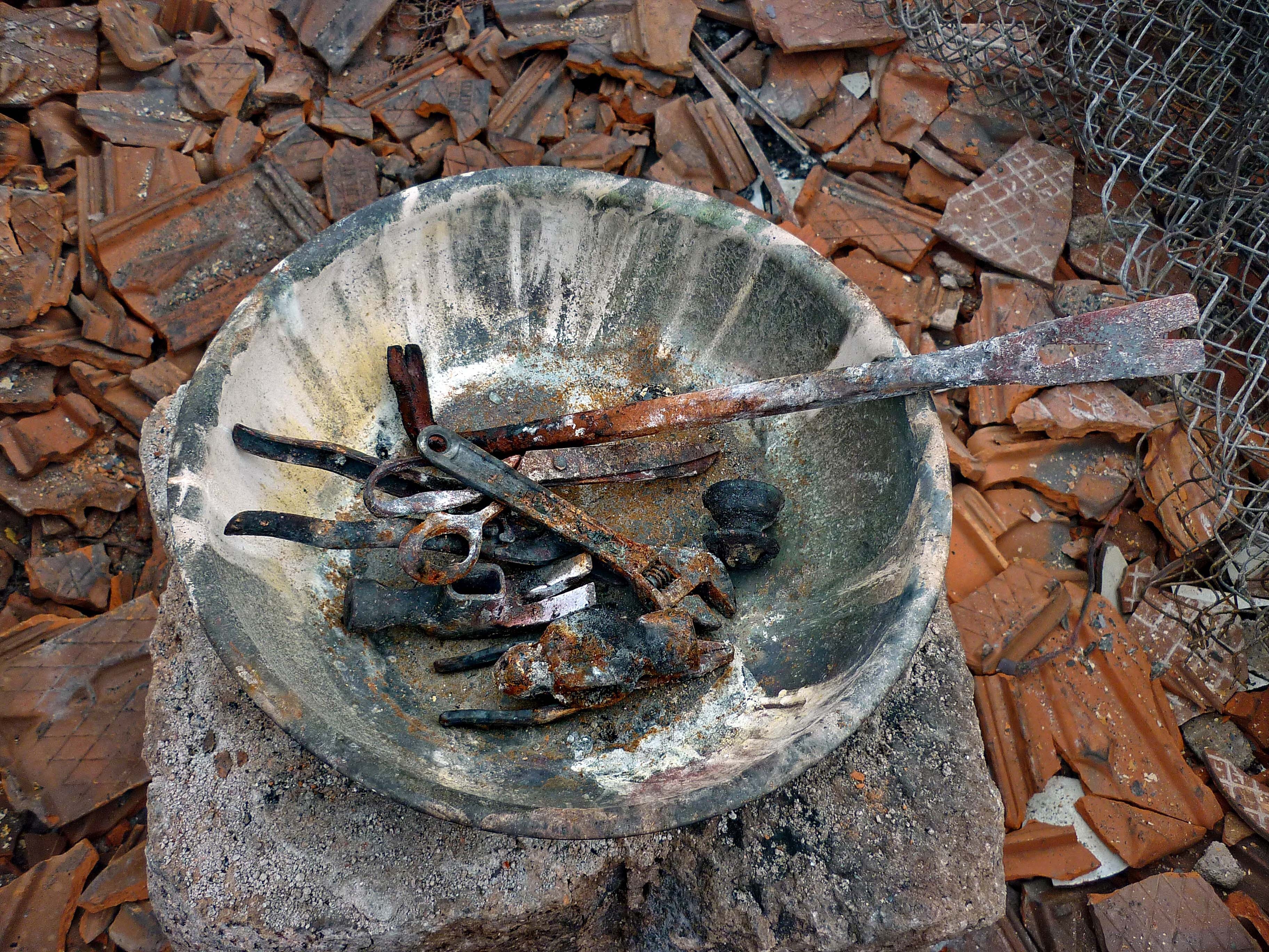 Chay kinh hoang o Nha Trang anh 7