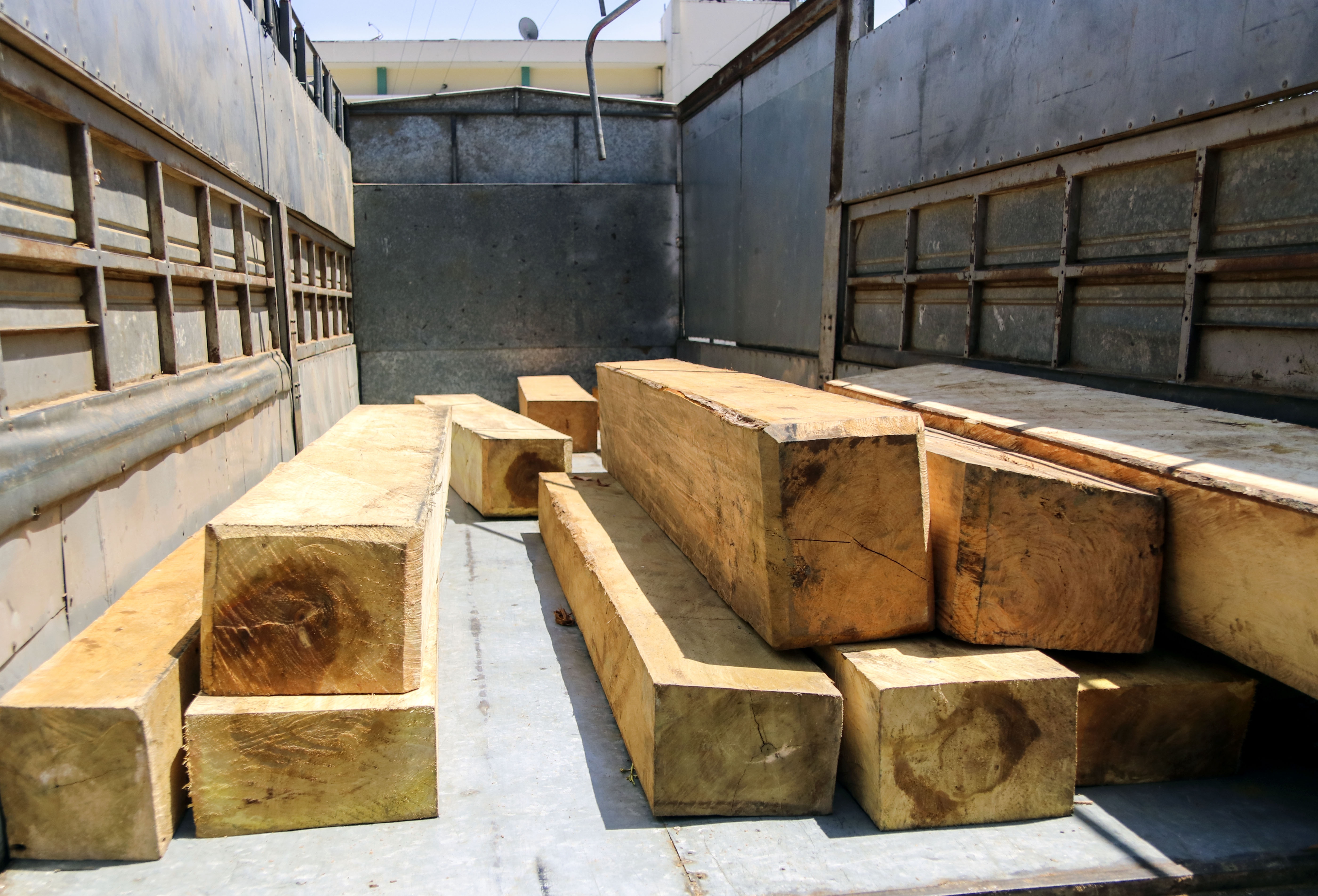 Bắt gỗ lậu ảnh 1 Bat go lau anh 1