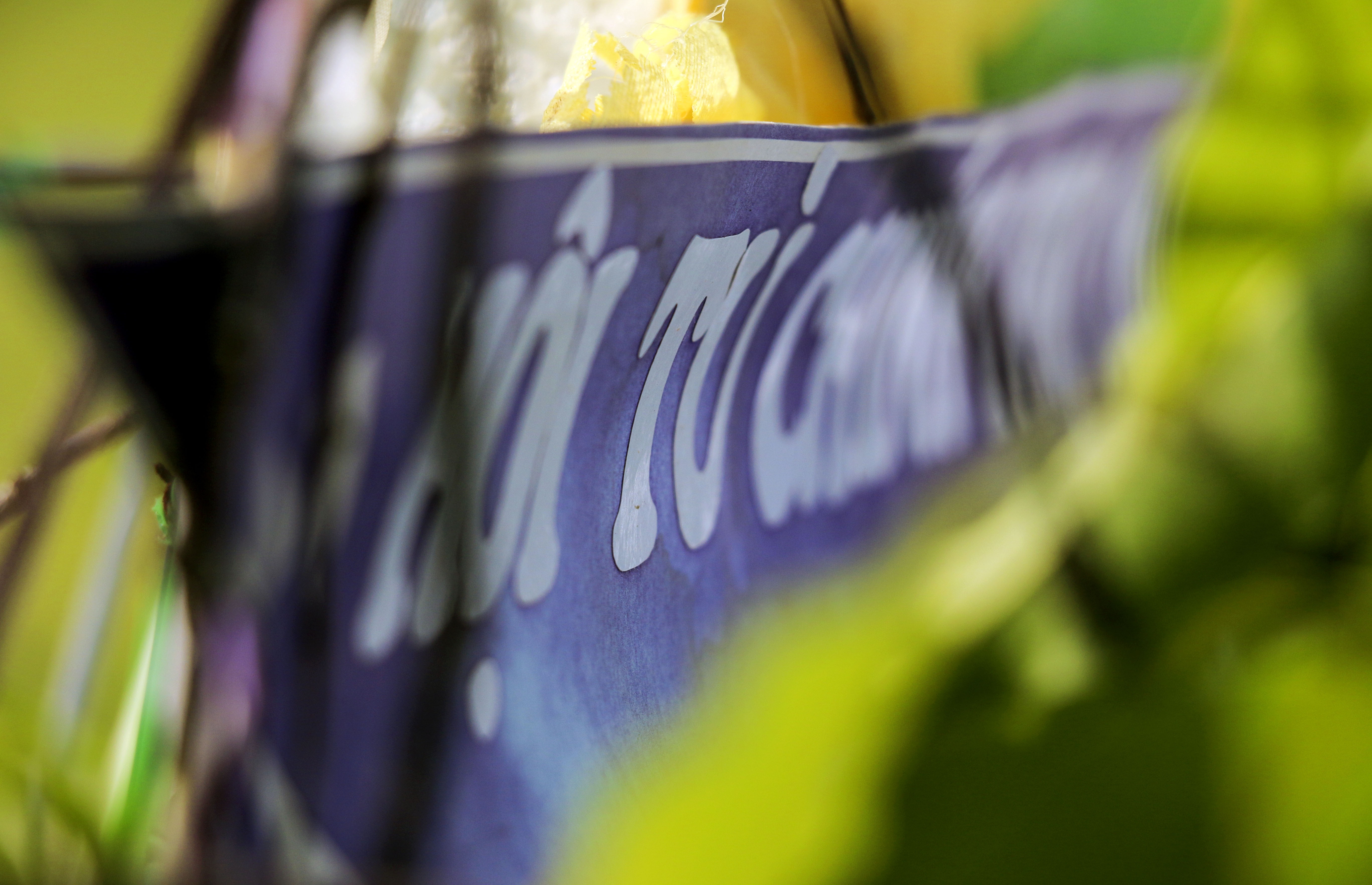 Tuong da Gac Ma anh 11