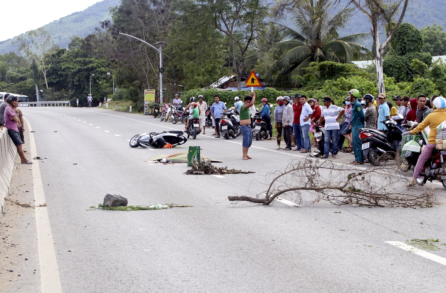 Gay tai nan roi bo tron anh 1