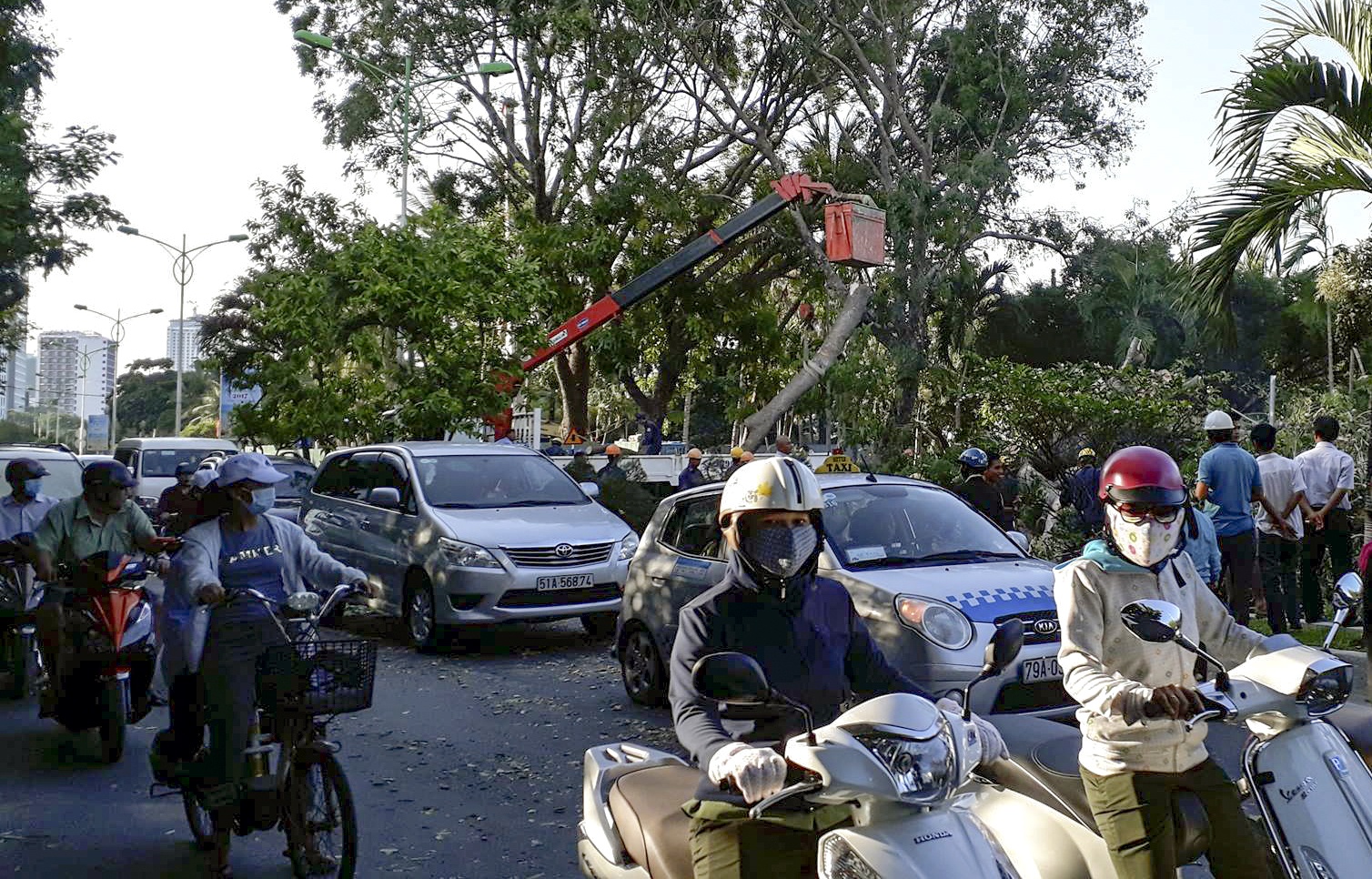 cây cổ thụ đổ chắn ngang đường ảnh 2 cay co thu do chan ngang duong anh 2