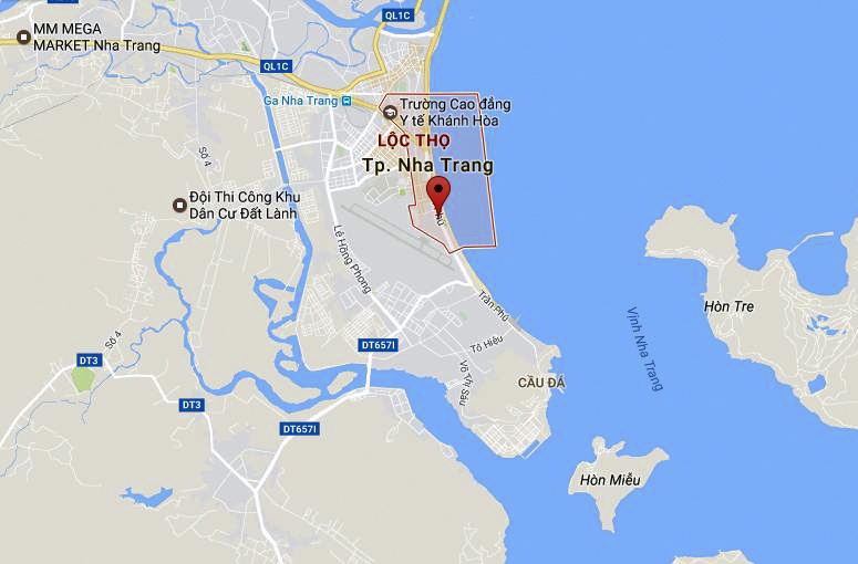 cây cổ thụ đổ chắn ngang đường ảnh 3 cay co thu do chan ngang duong anh 3