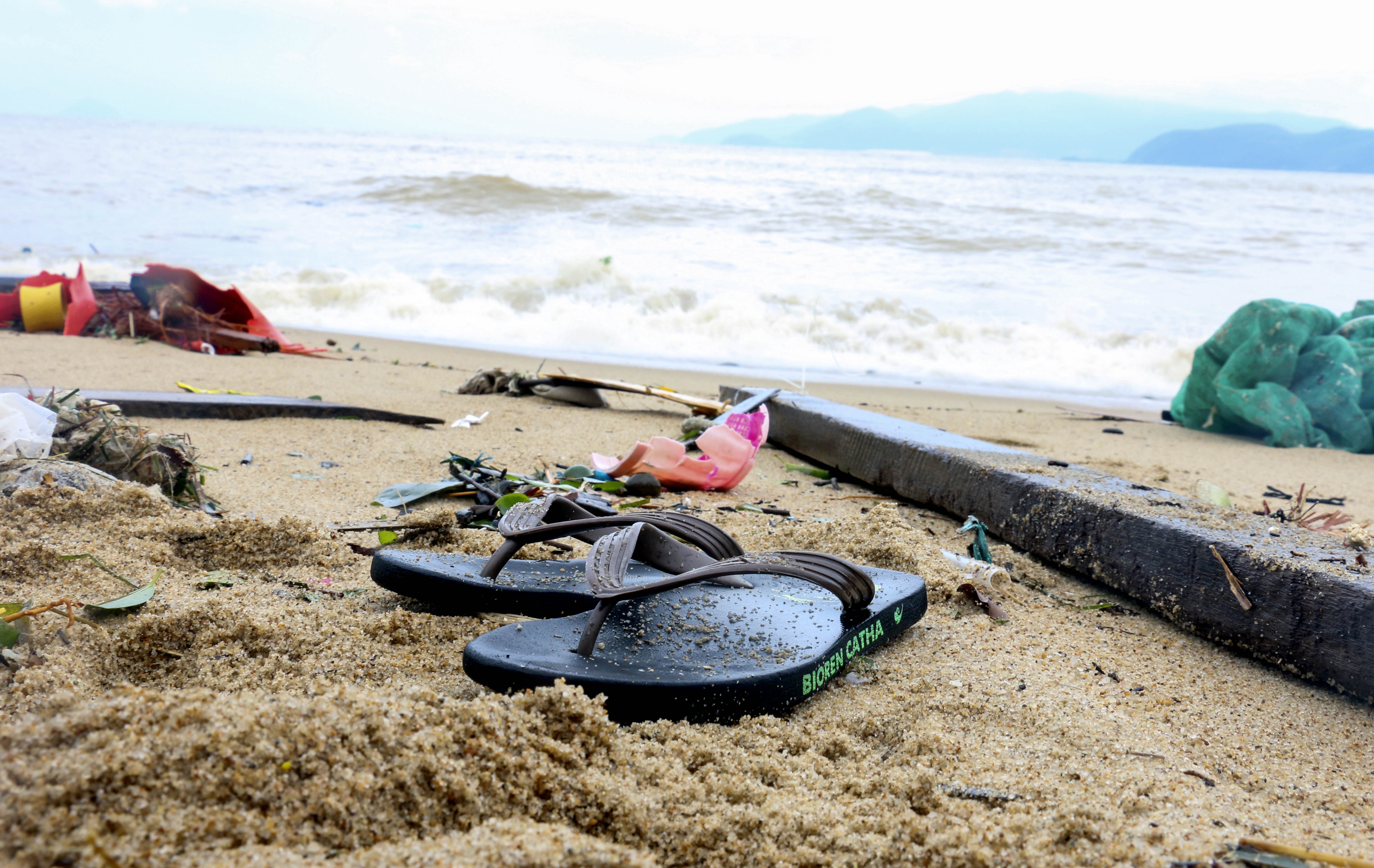 Bão số 12 - Damrey ảnh 8 Bao so 12 - Damrey anh 8