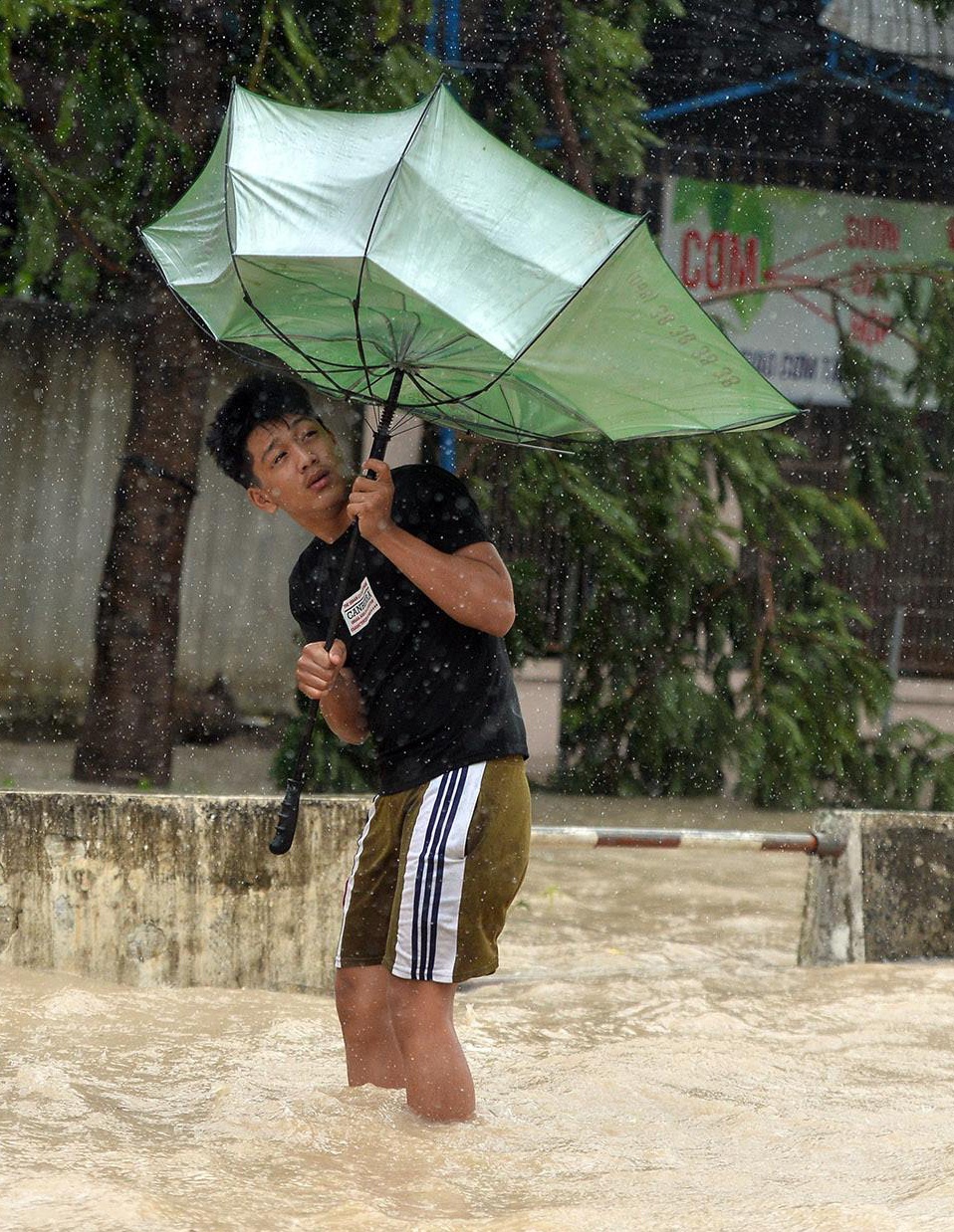 bao so 12 Damrey anh 8