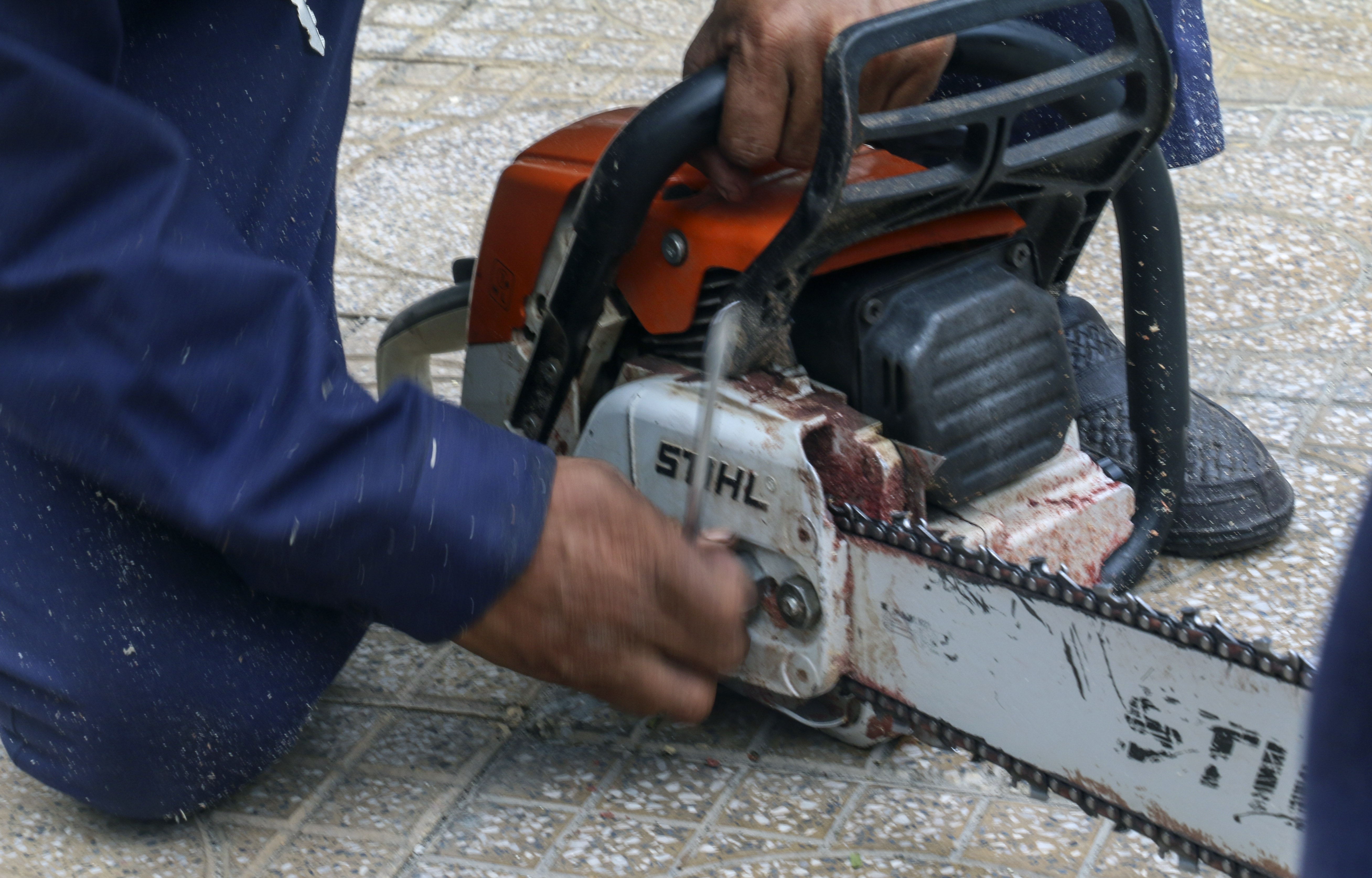 Bao so 12 - Damey anh 8