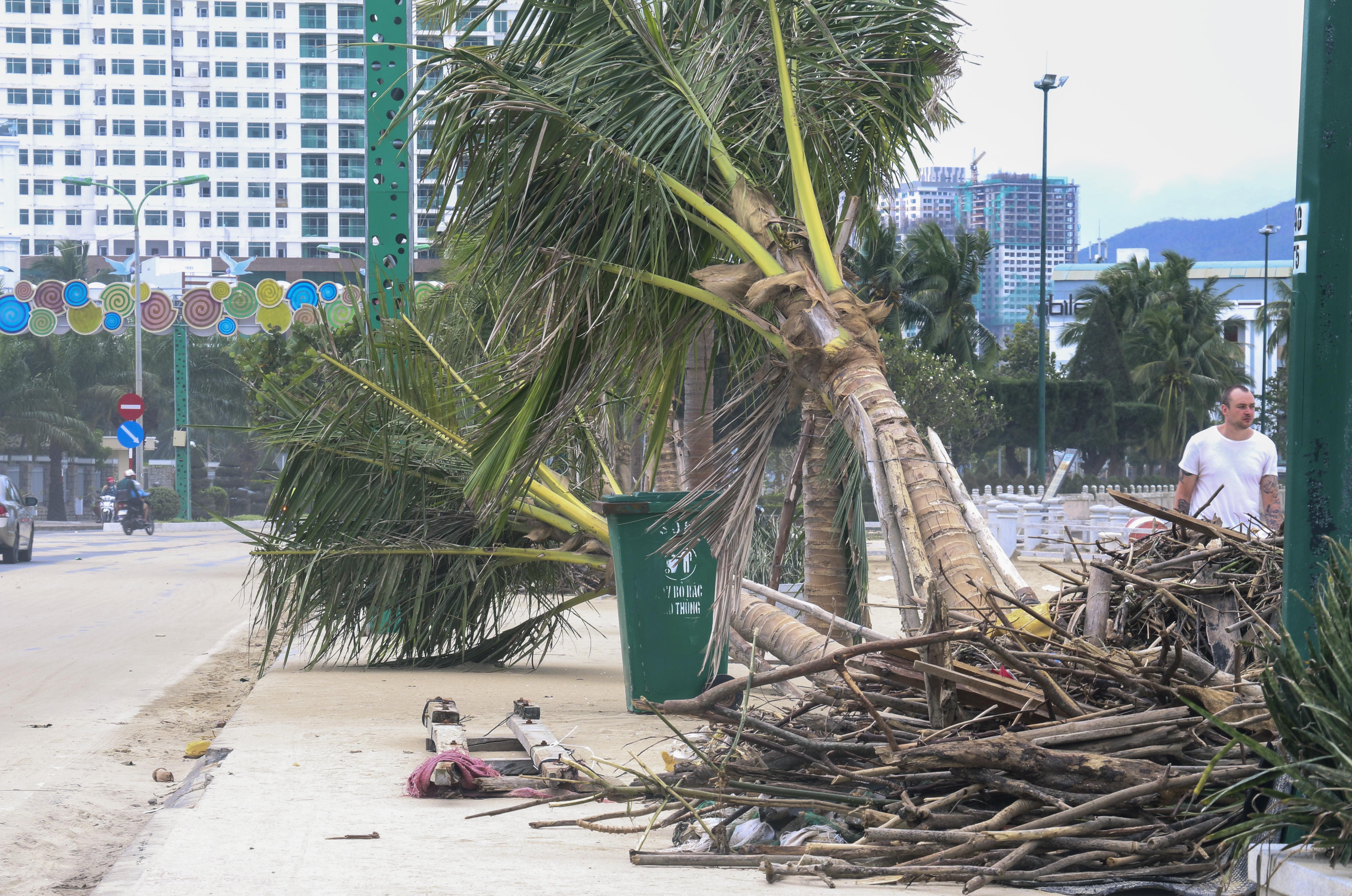 Bao so 12 - Damey anh 1