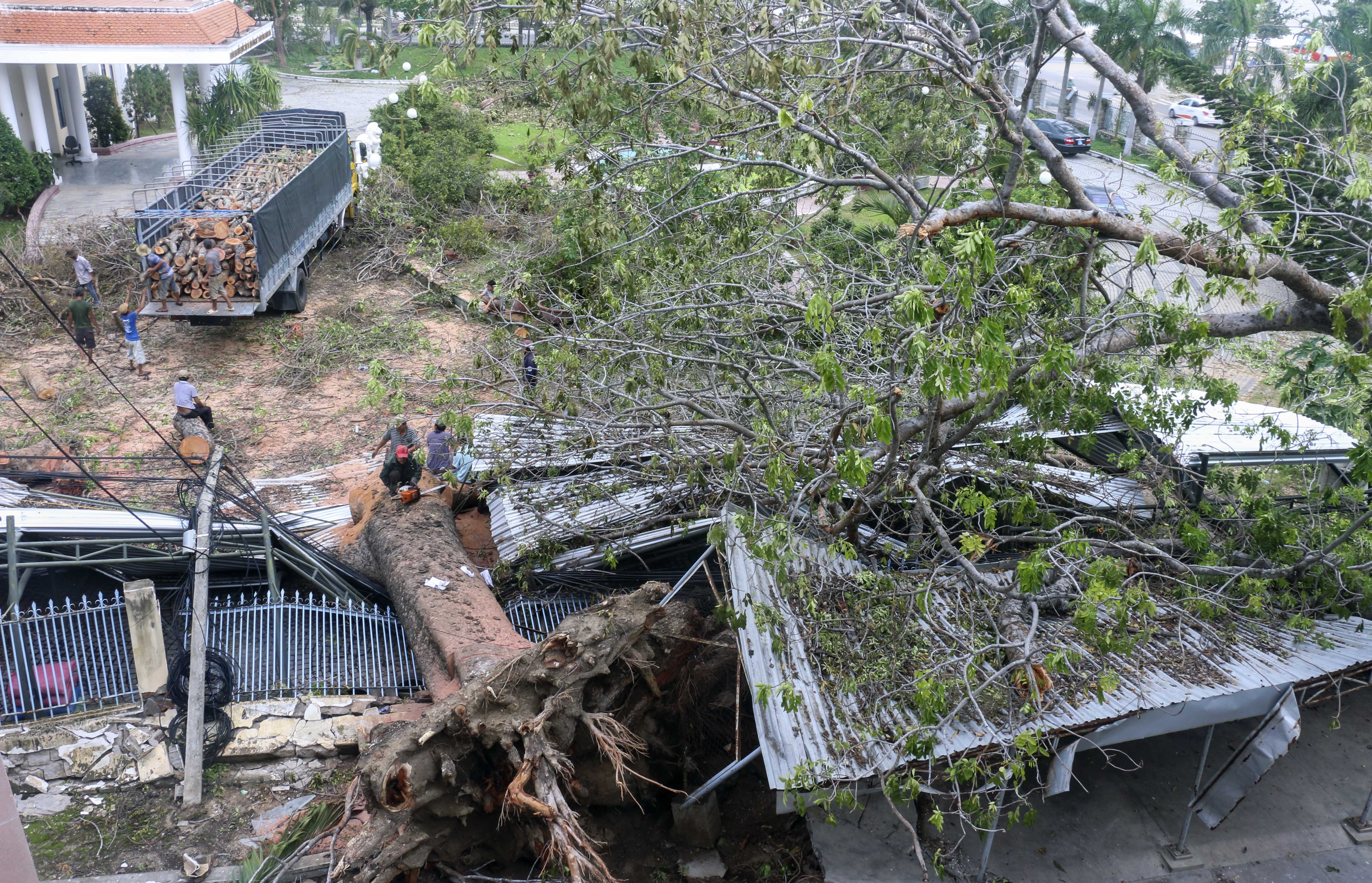 Bao so 12 - Damey anh 2