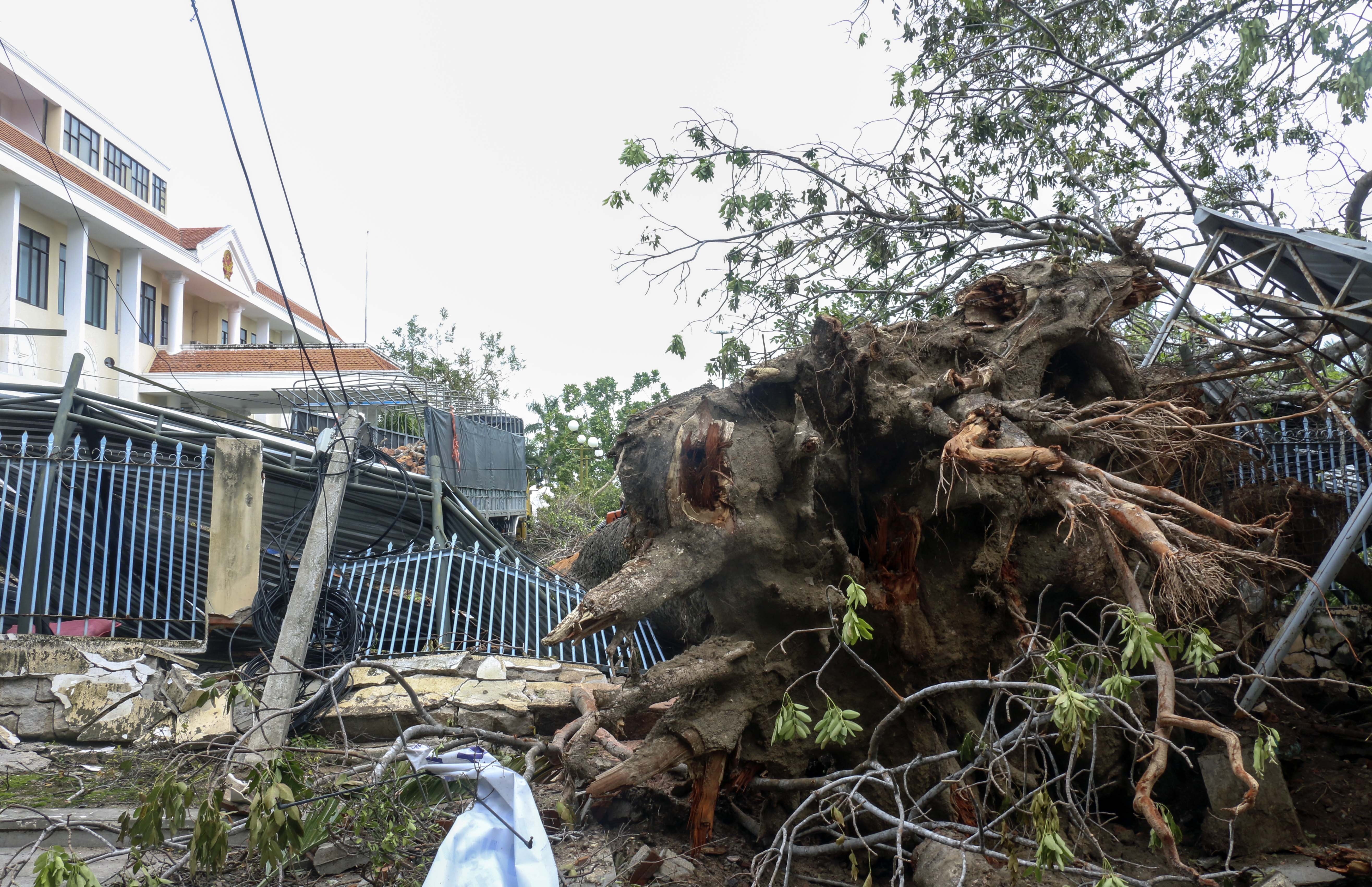 Bao so 12 - Damey anh 3