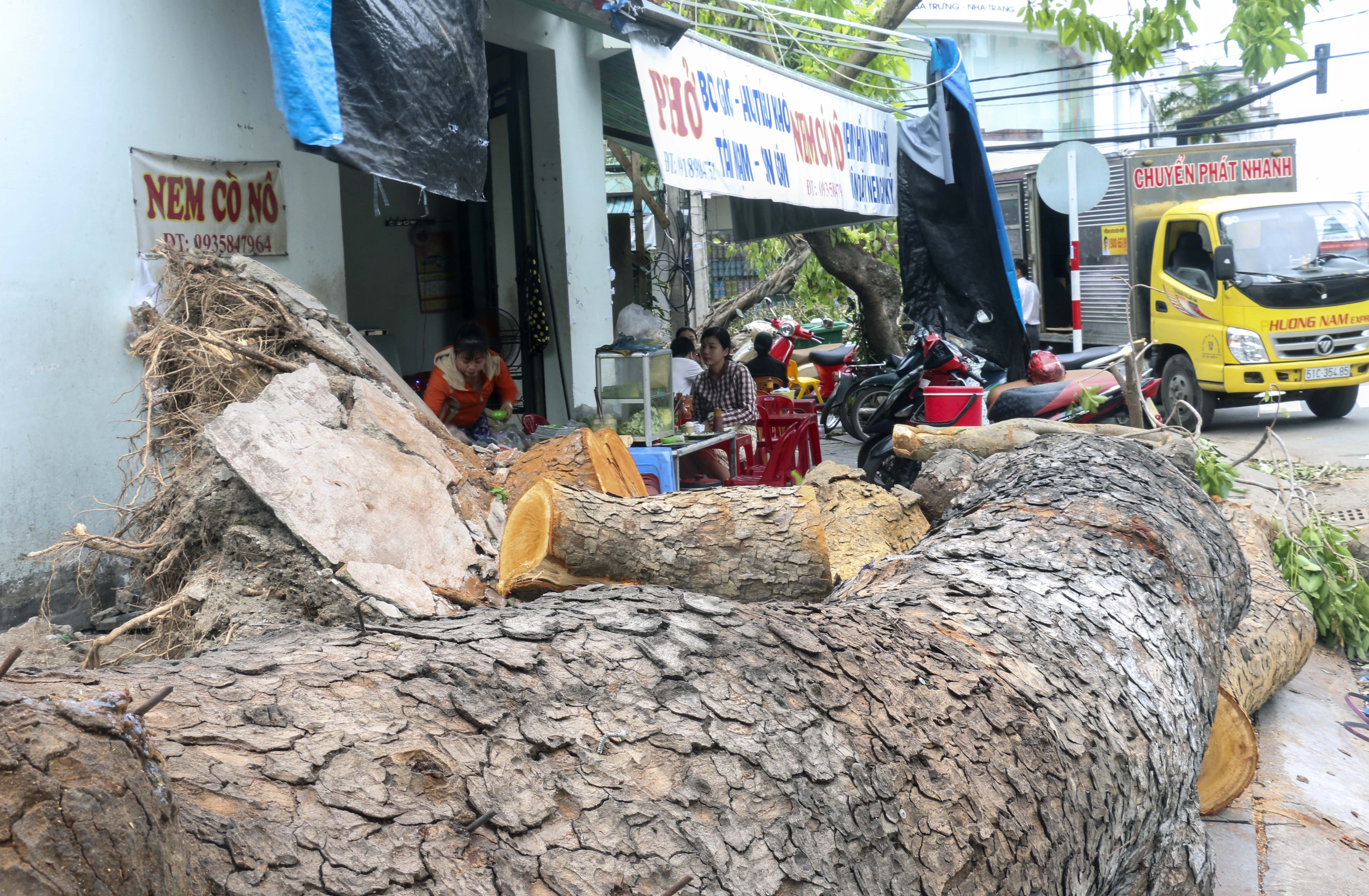 Bao so 12 - Damey anh 9