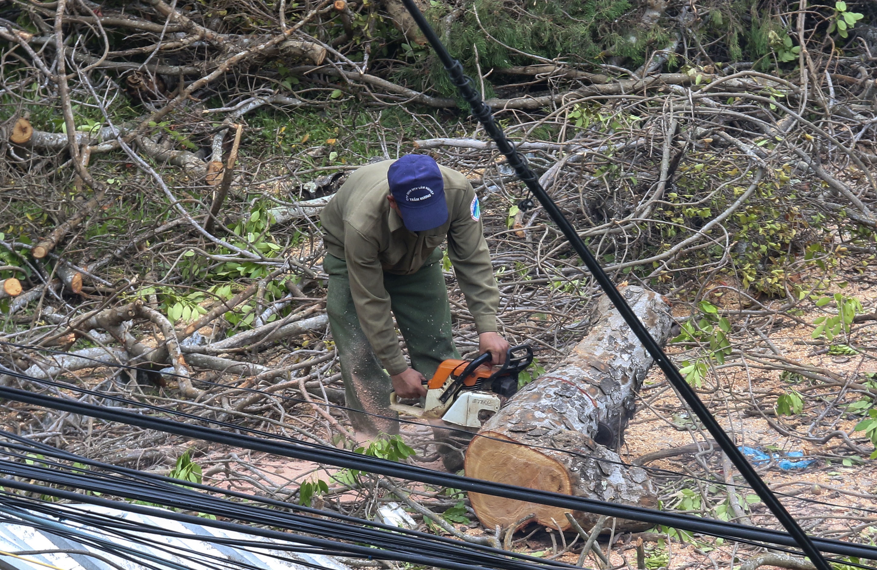 Bao so 12 - Damey anh 4