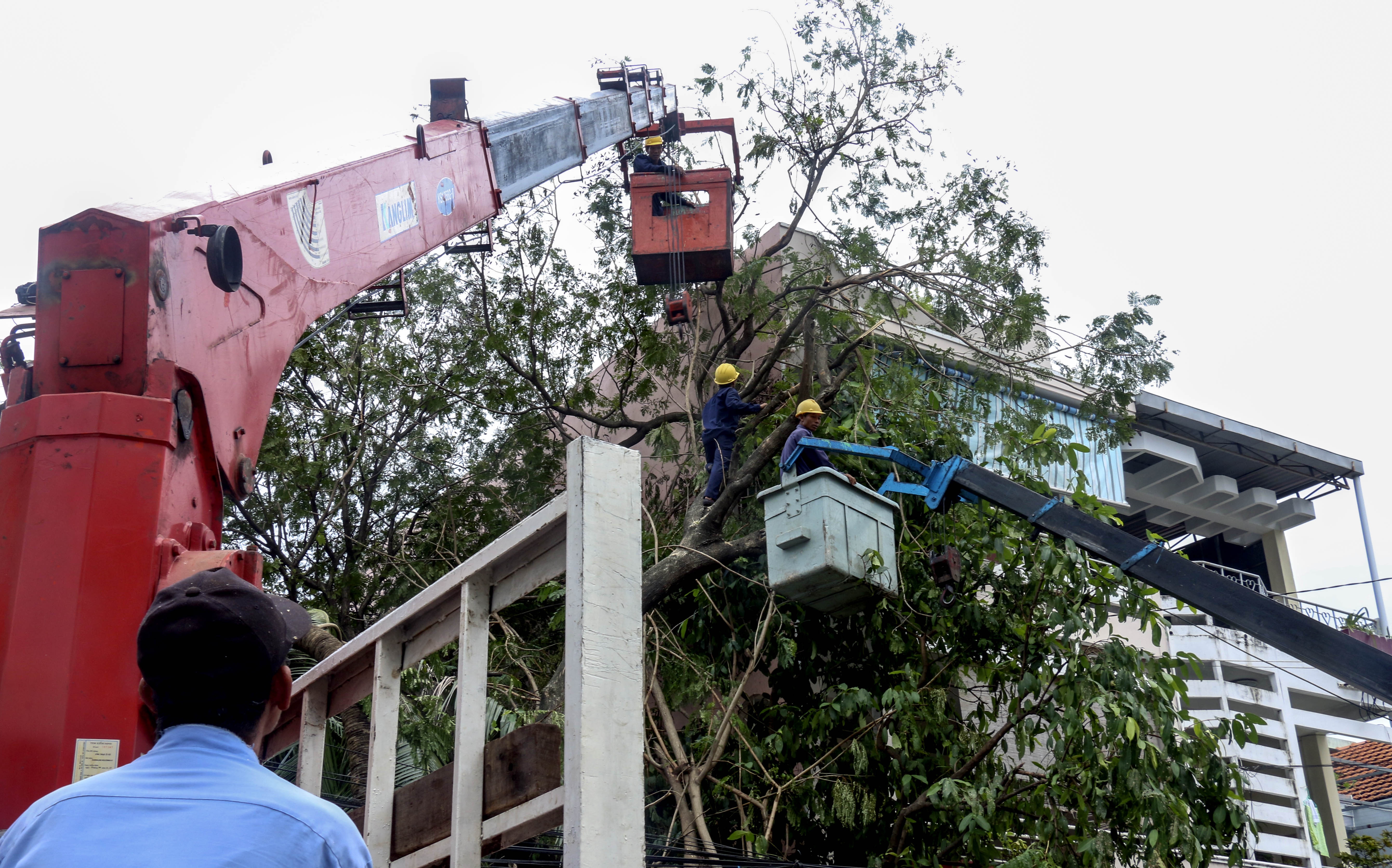 Bao so 12 - Damey anh 7