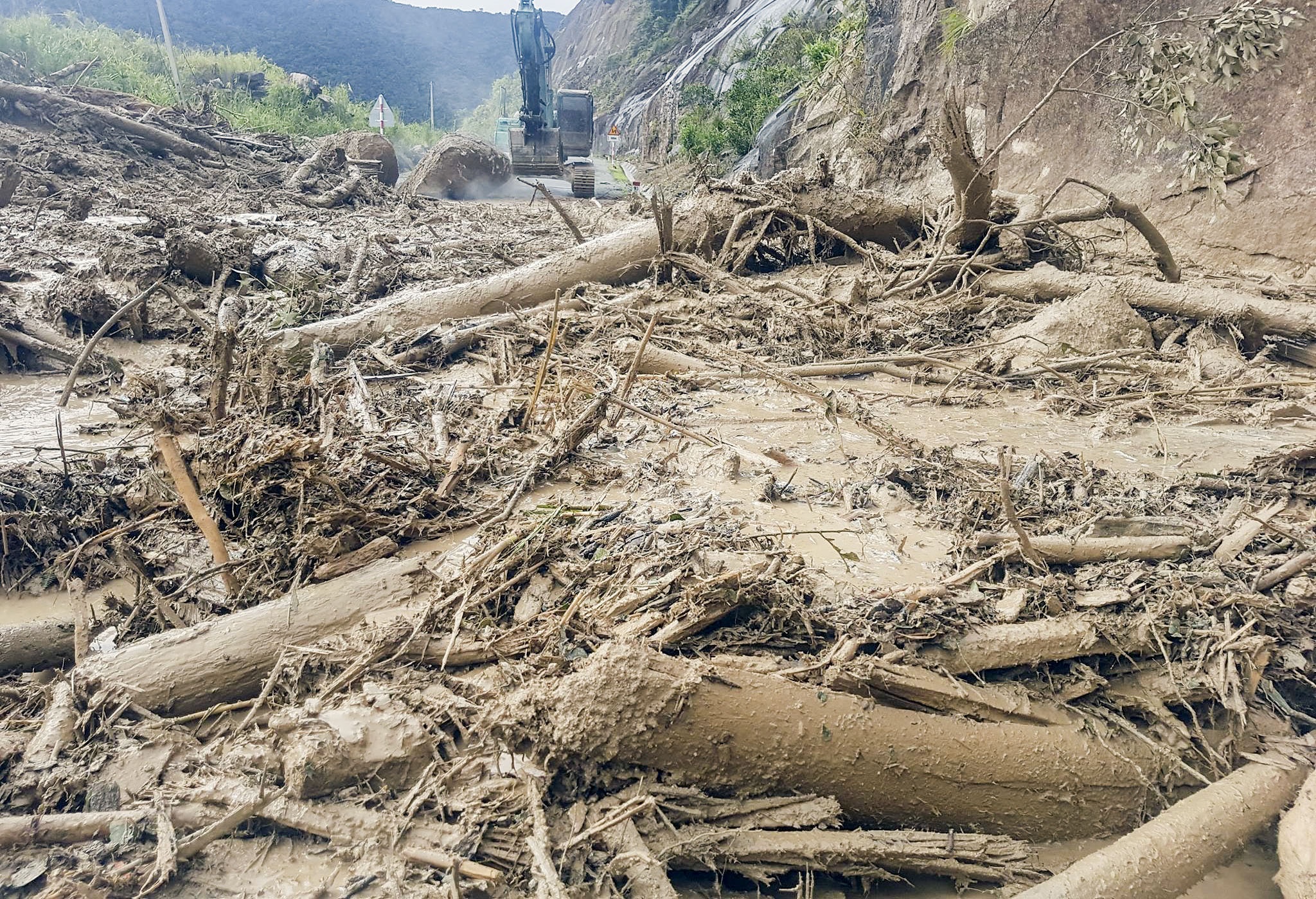 Bão số 12 - damrey ảnh 1 Bao so 12 - damrey anh 1