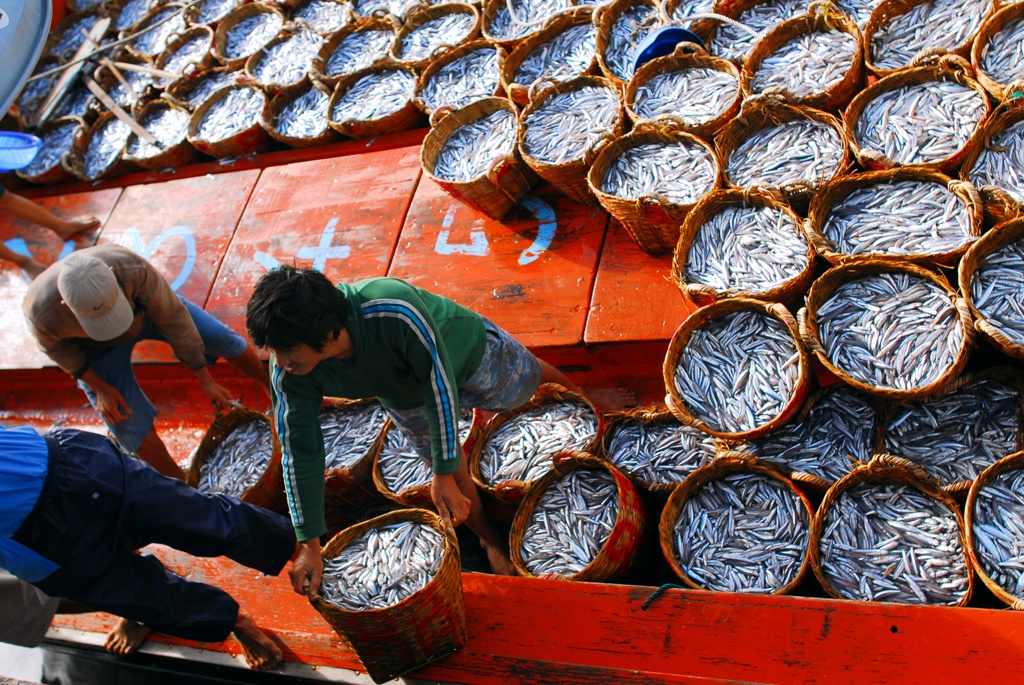 Cac nuoc ASEAN - An Do: Ban cach phat trien kinh te bien ben vung hinh anh