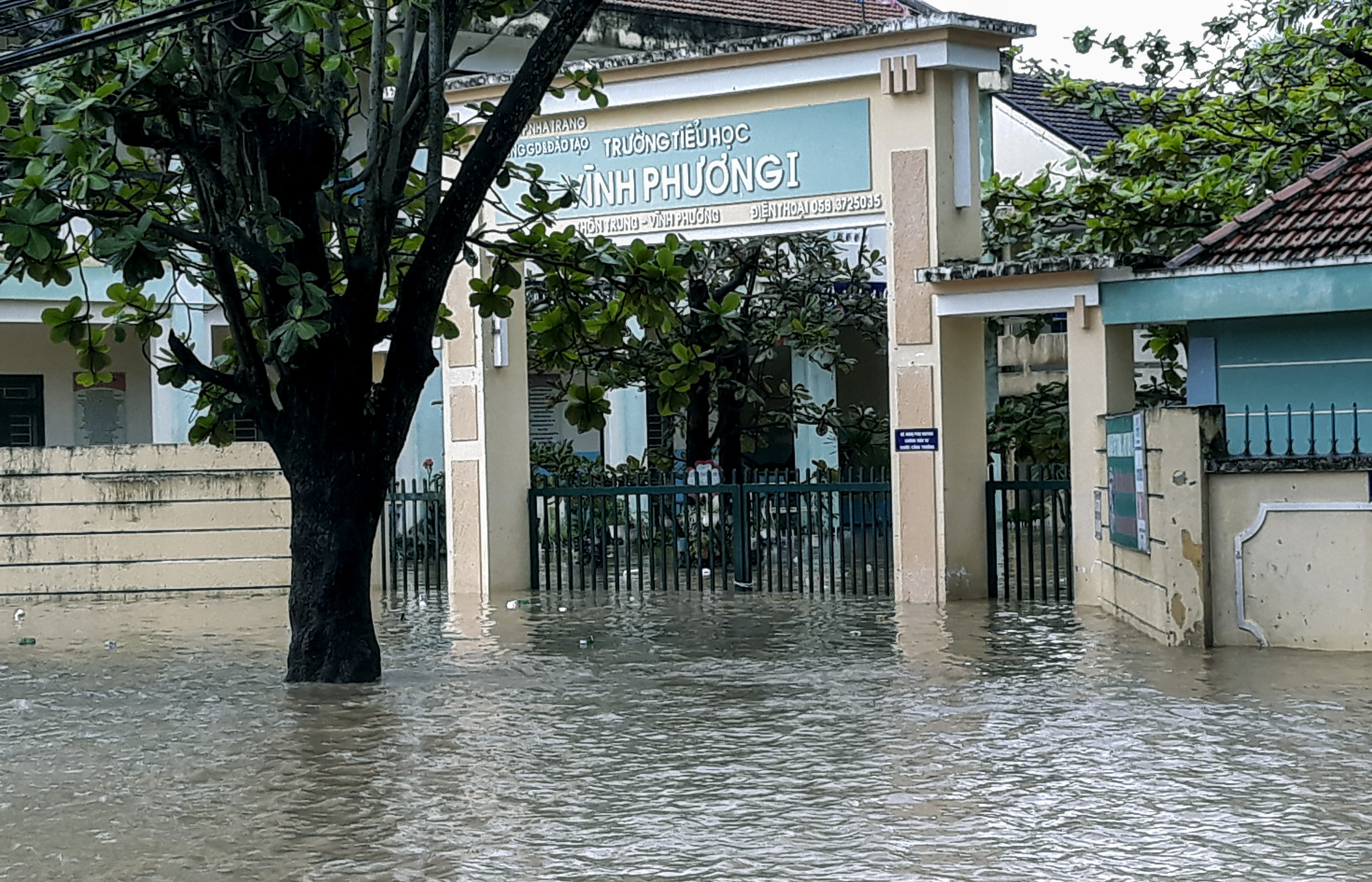 Nha Trang ngập lụt ảnh 16 Nha Trang ngap lut anh 16