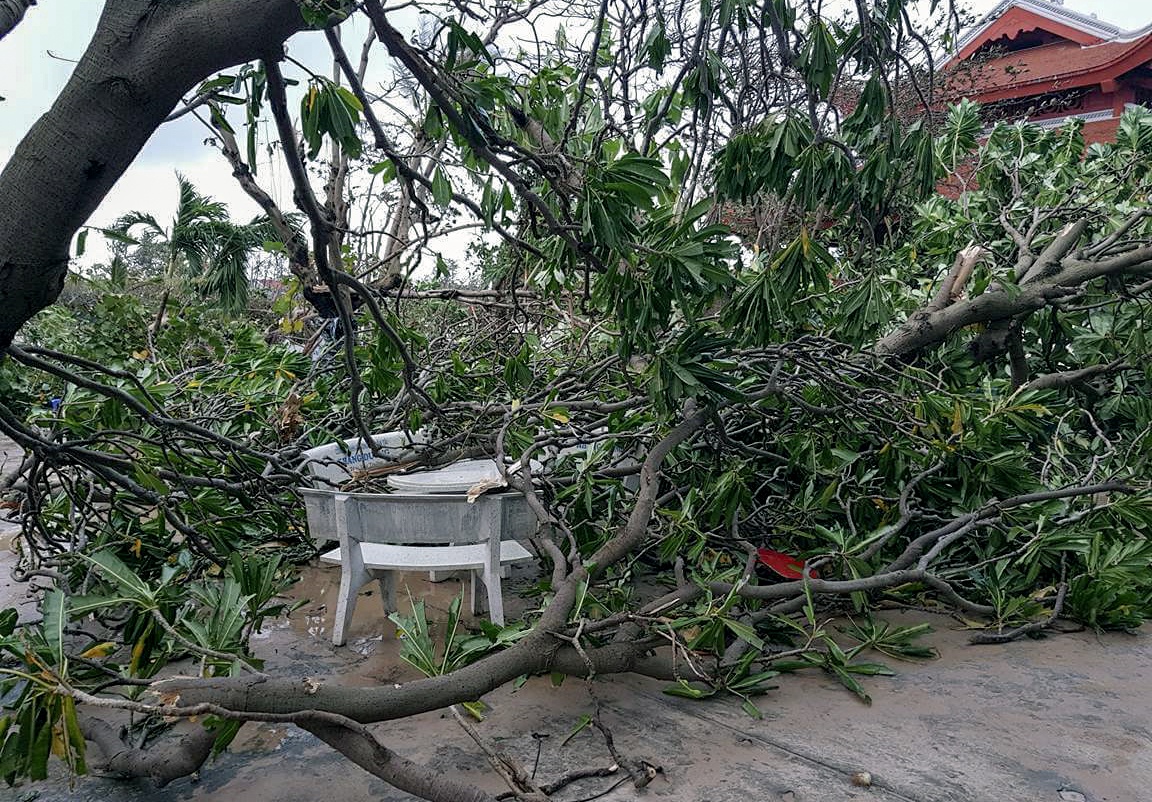 Bao so 16 - Tembin anh 2