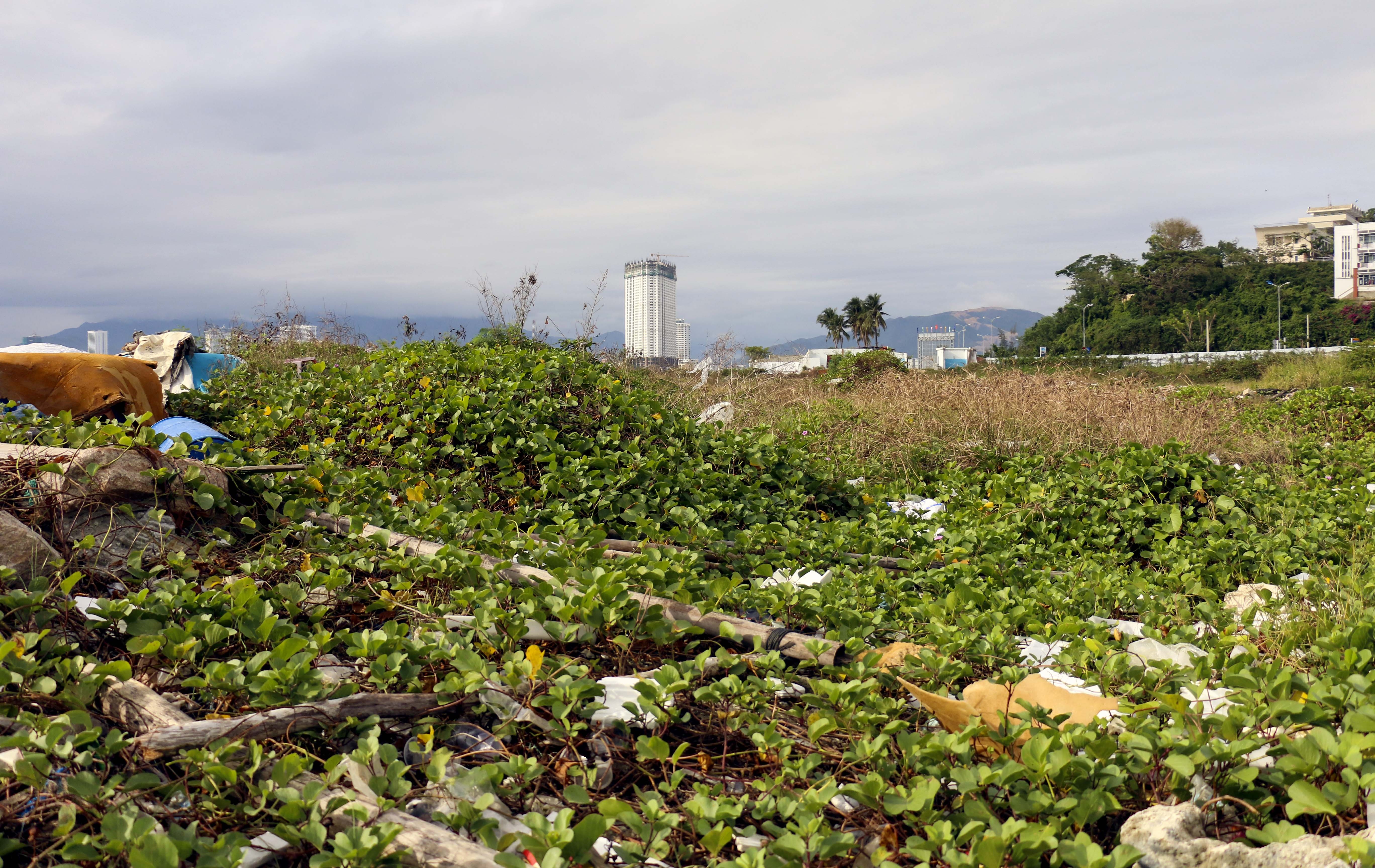 Dự án Nha Trang Sao ảnh 2 Du an Nha Trang Sao anh 2