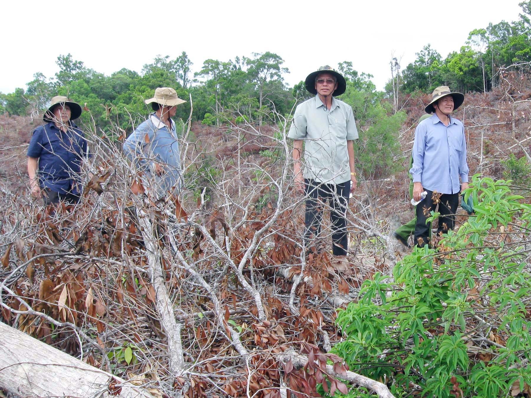 Trưởng công an huyện phá rừng ảnh 1 Truong cong an huyen pha rung anh 1