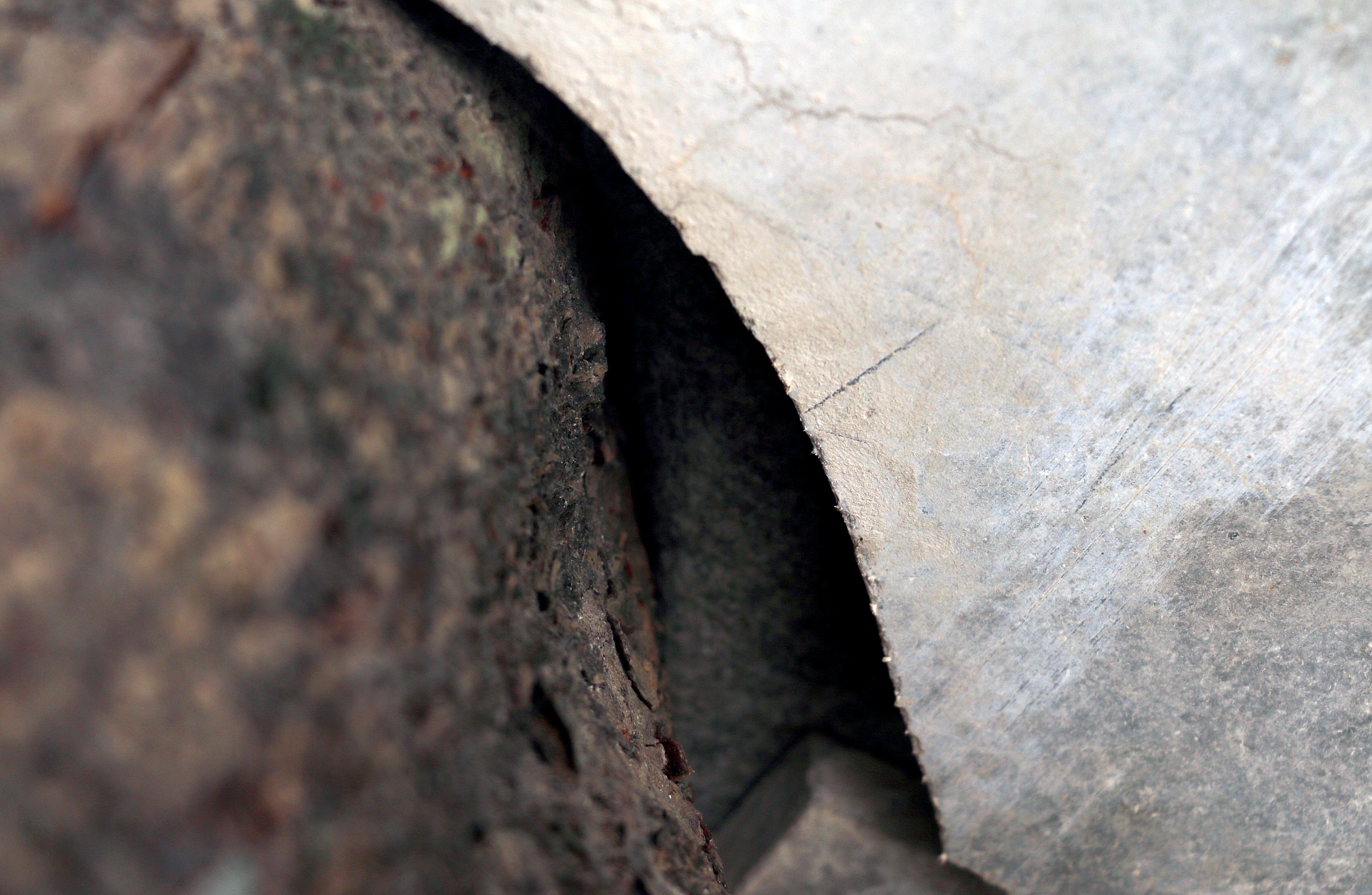 Xay dung nha tren cay anh 10