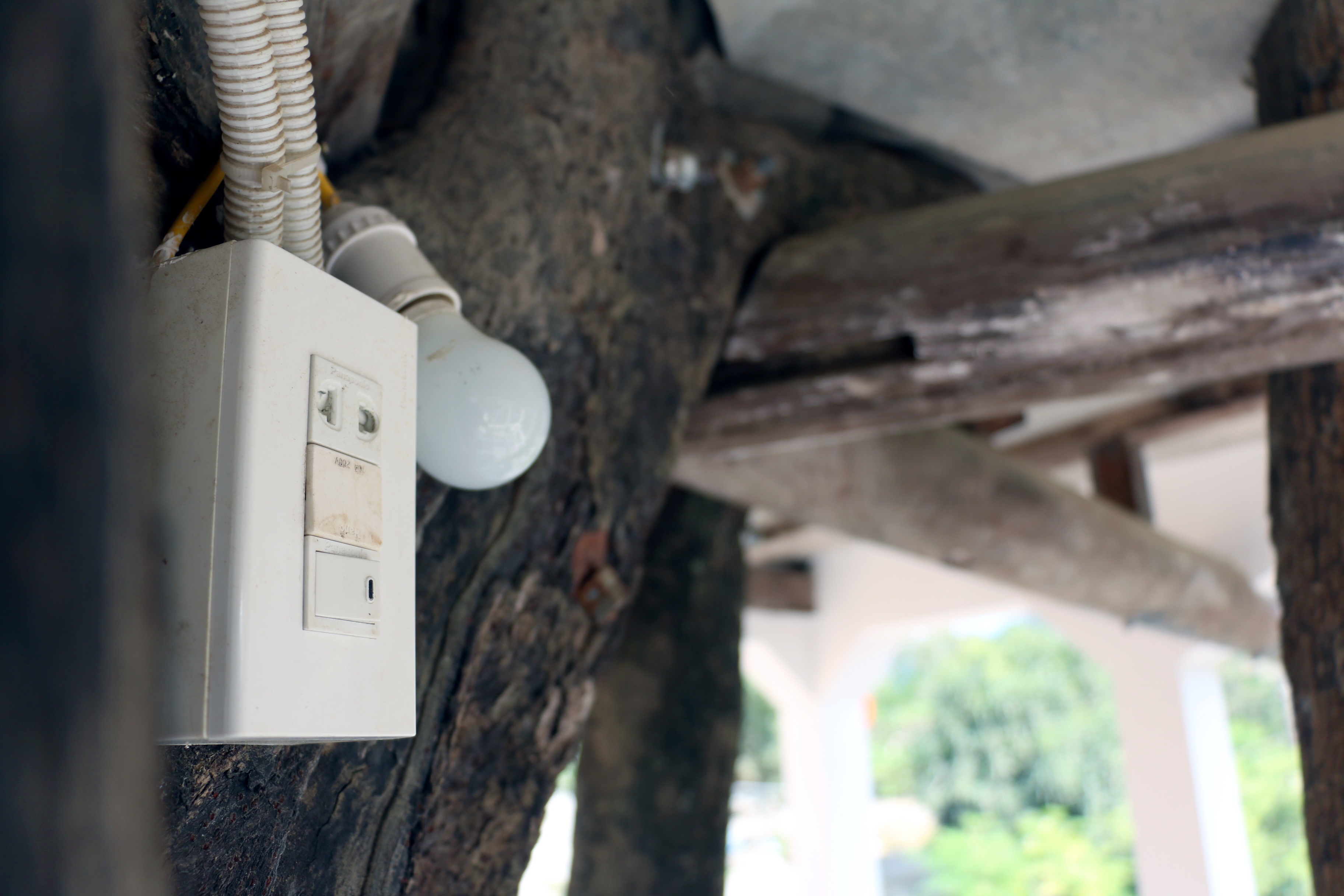 Xay dung nha tren cay anh 12