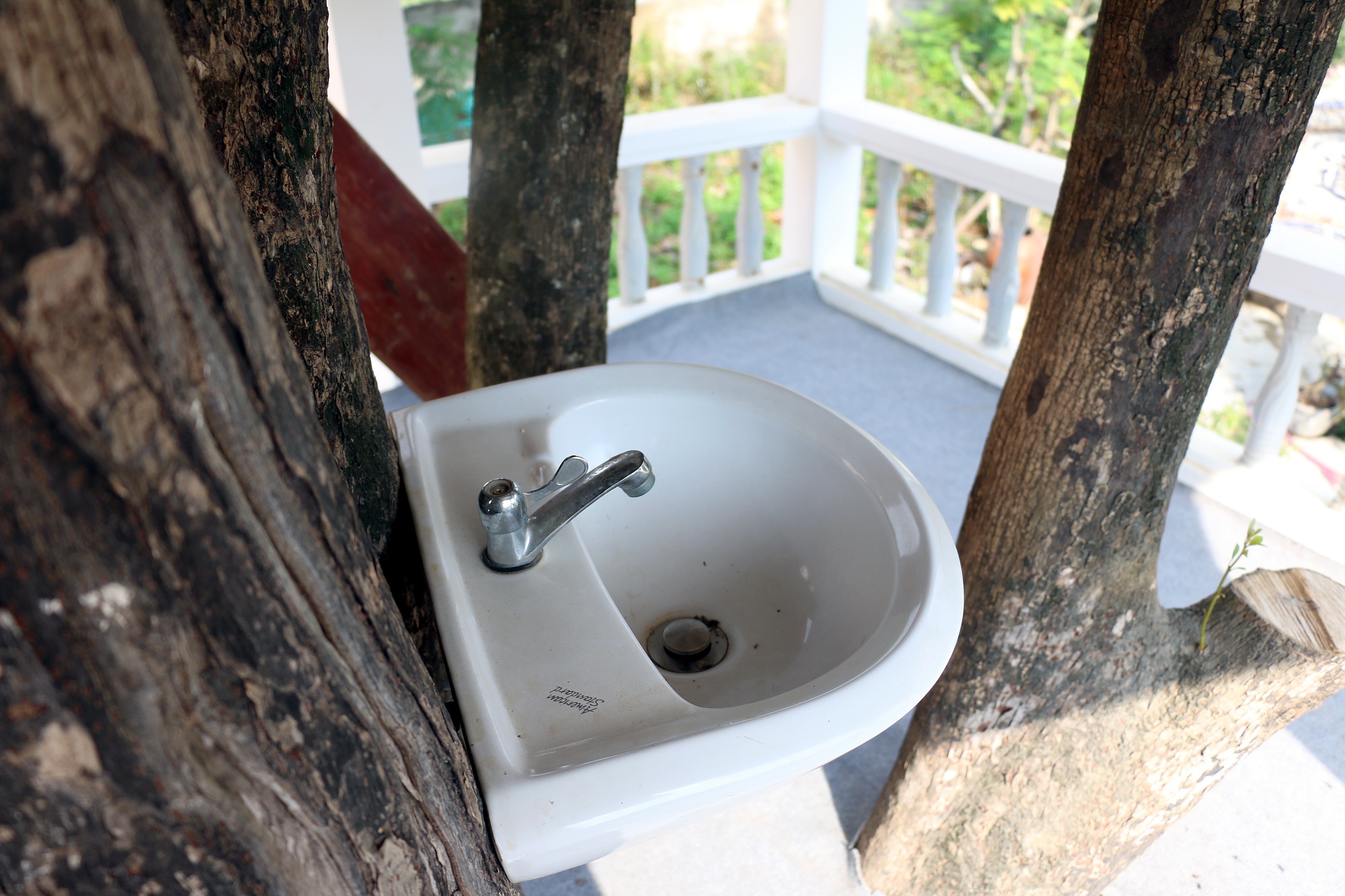 Xay dung nha tren cay anh 13