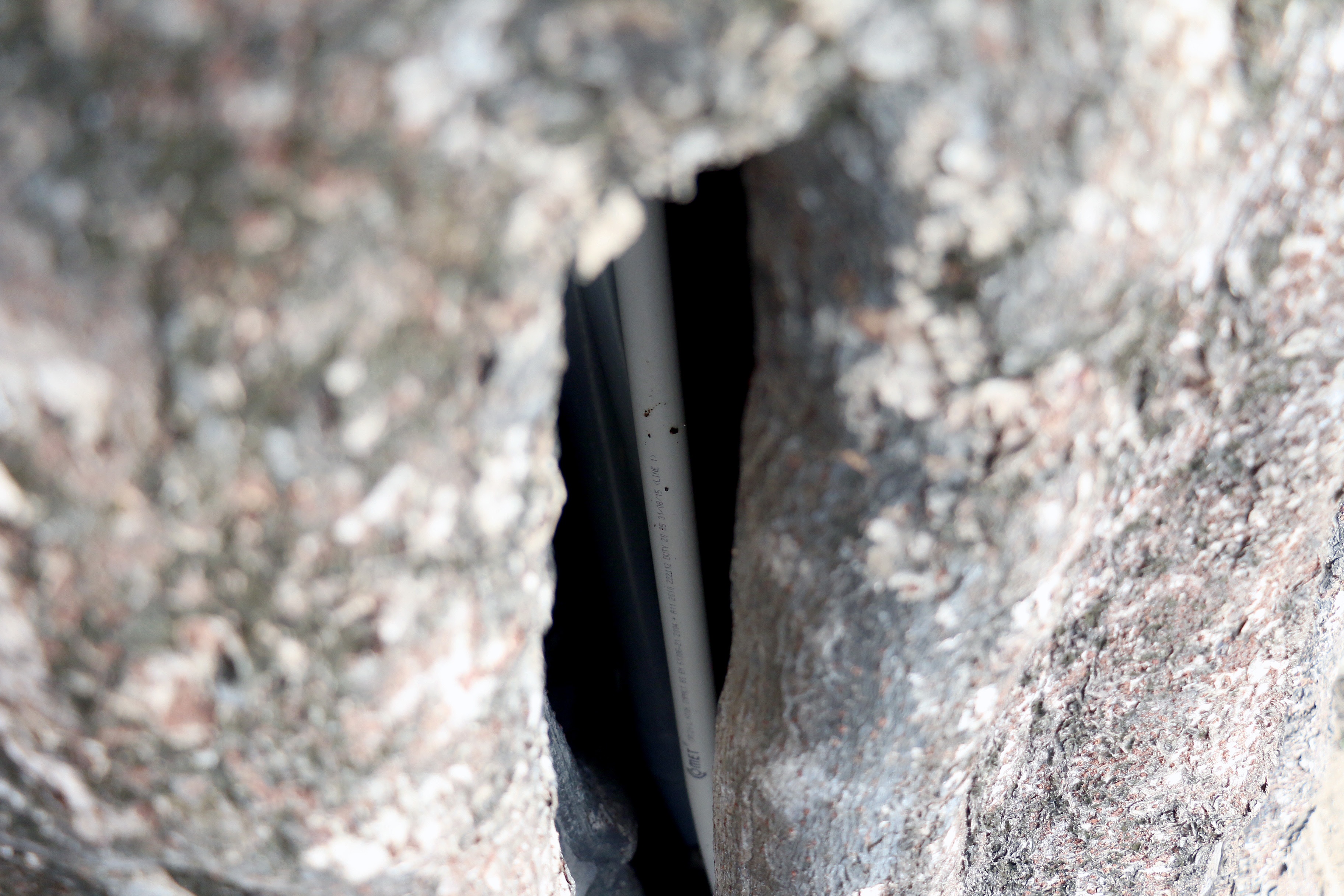 Xay dung nha tren cay anh 14