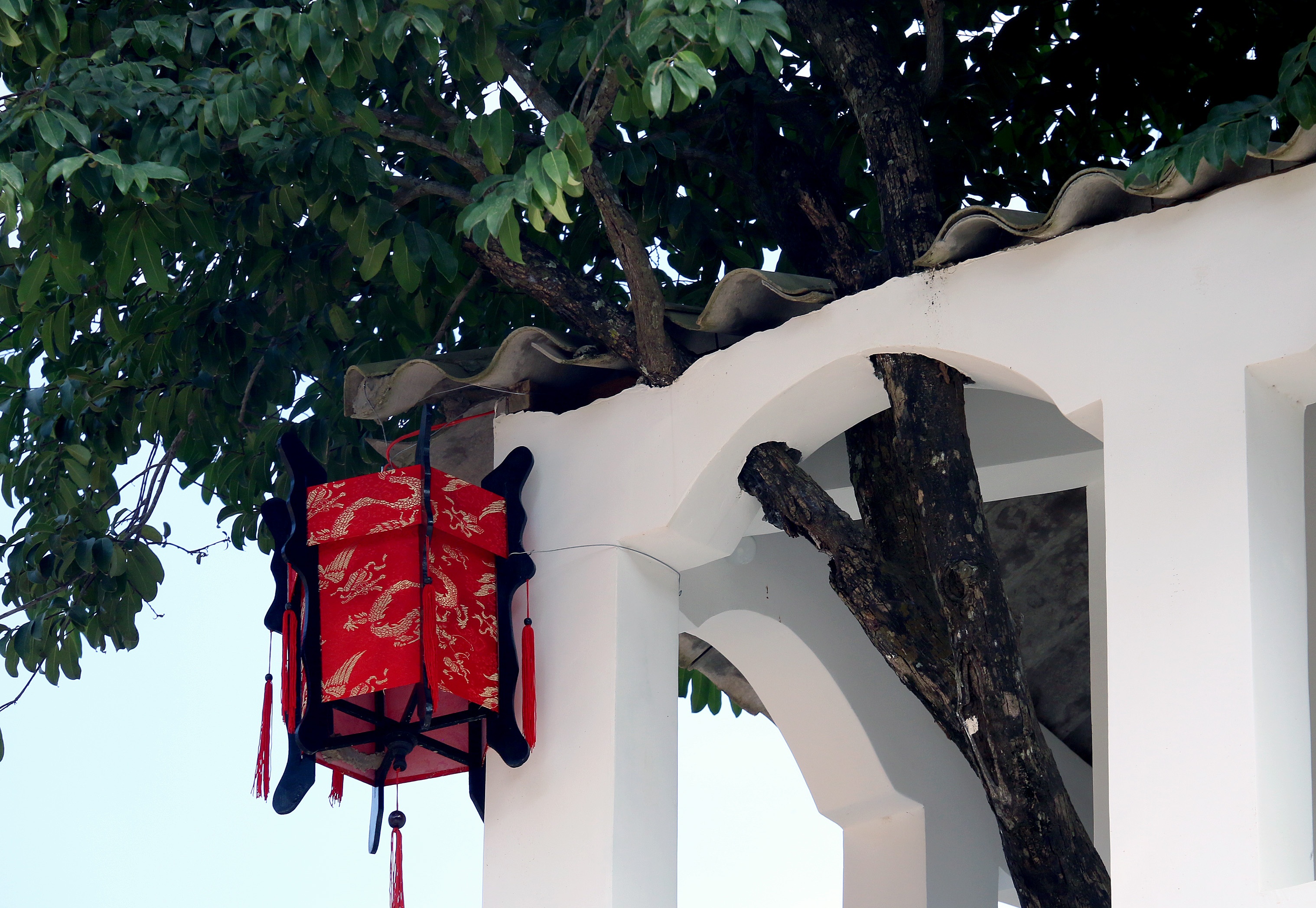 Xay dung nha tren cay anh 17