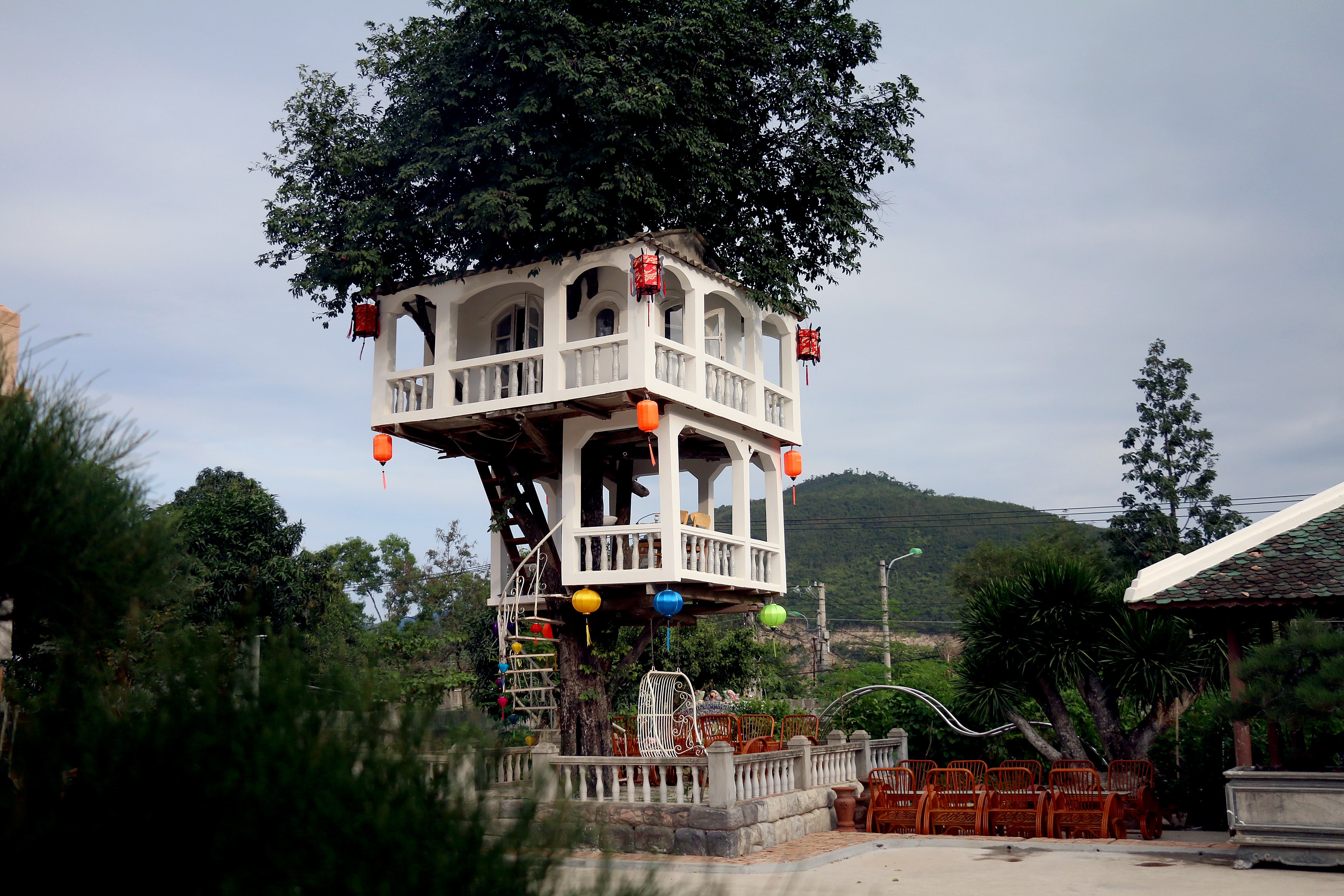 Xay dung nha tren cay anh 1