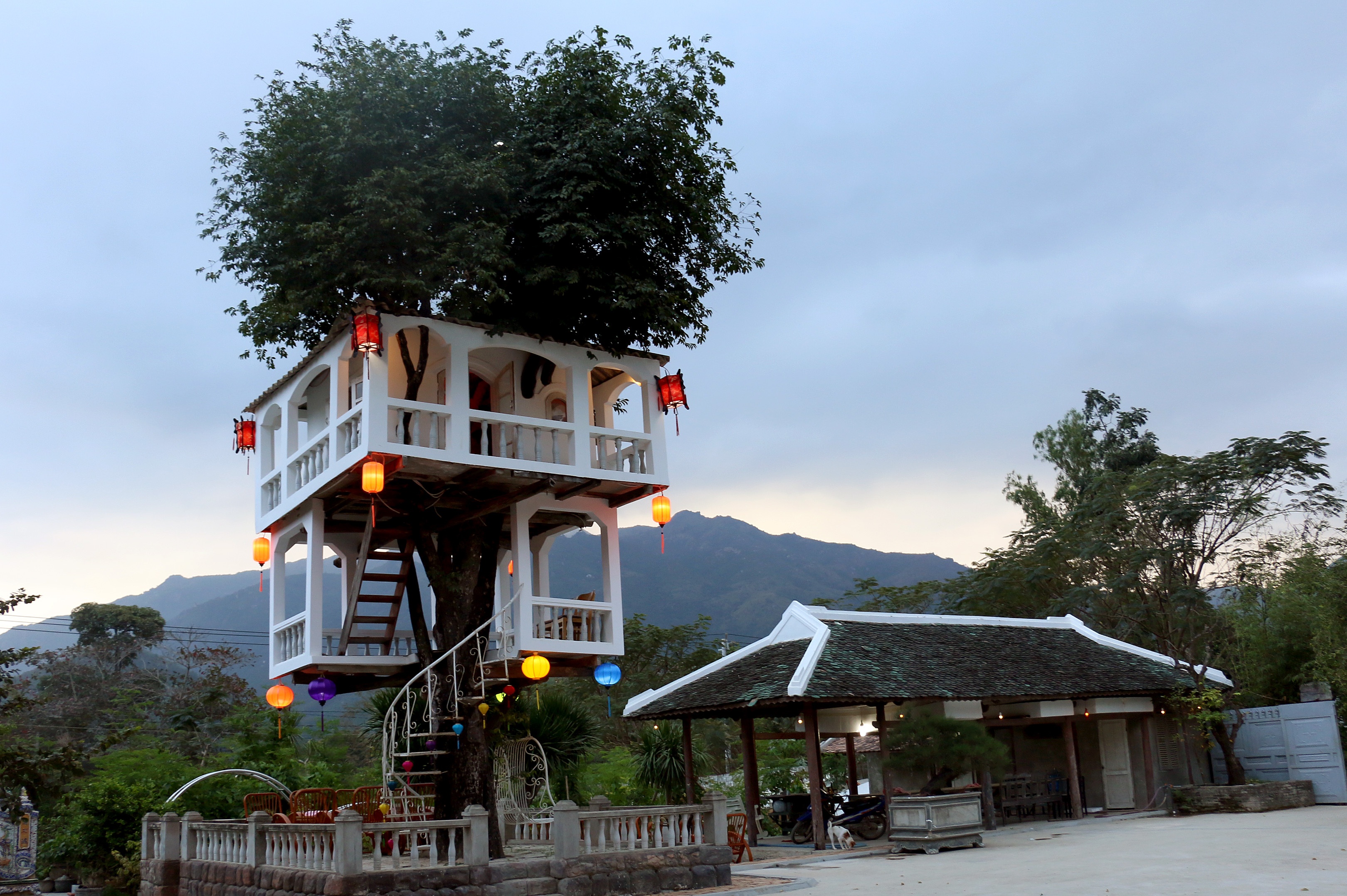 Xay dung nha tren cay anh 19