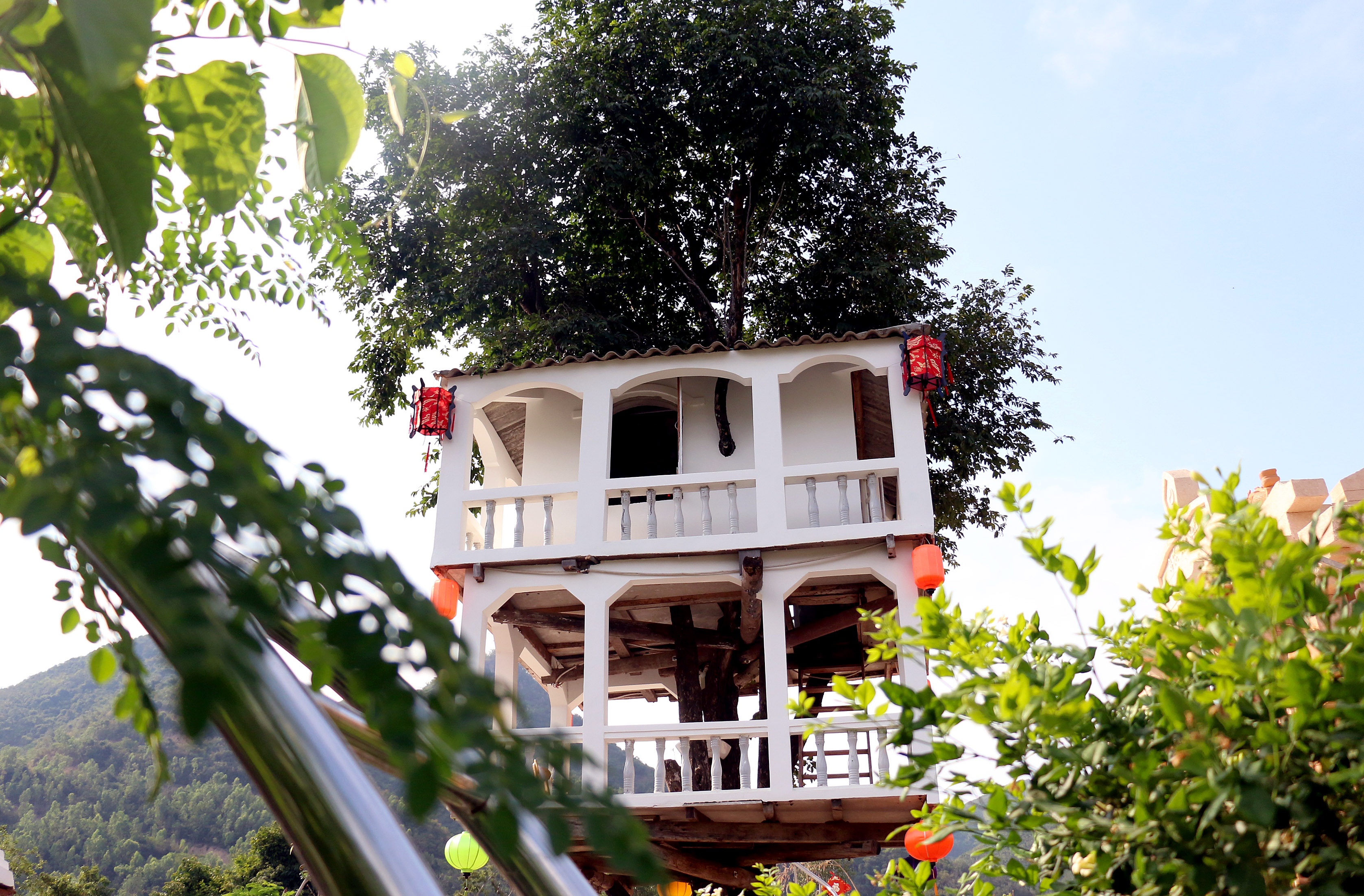 Ngoi nha 2 tang tren cay dung vung sau con bao lich su hinh anh