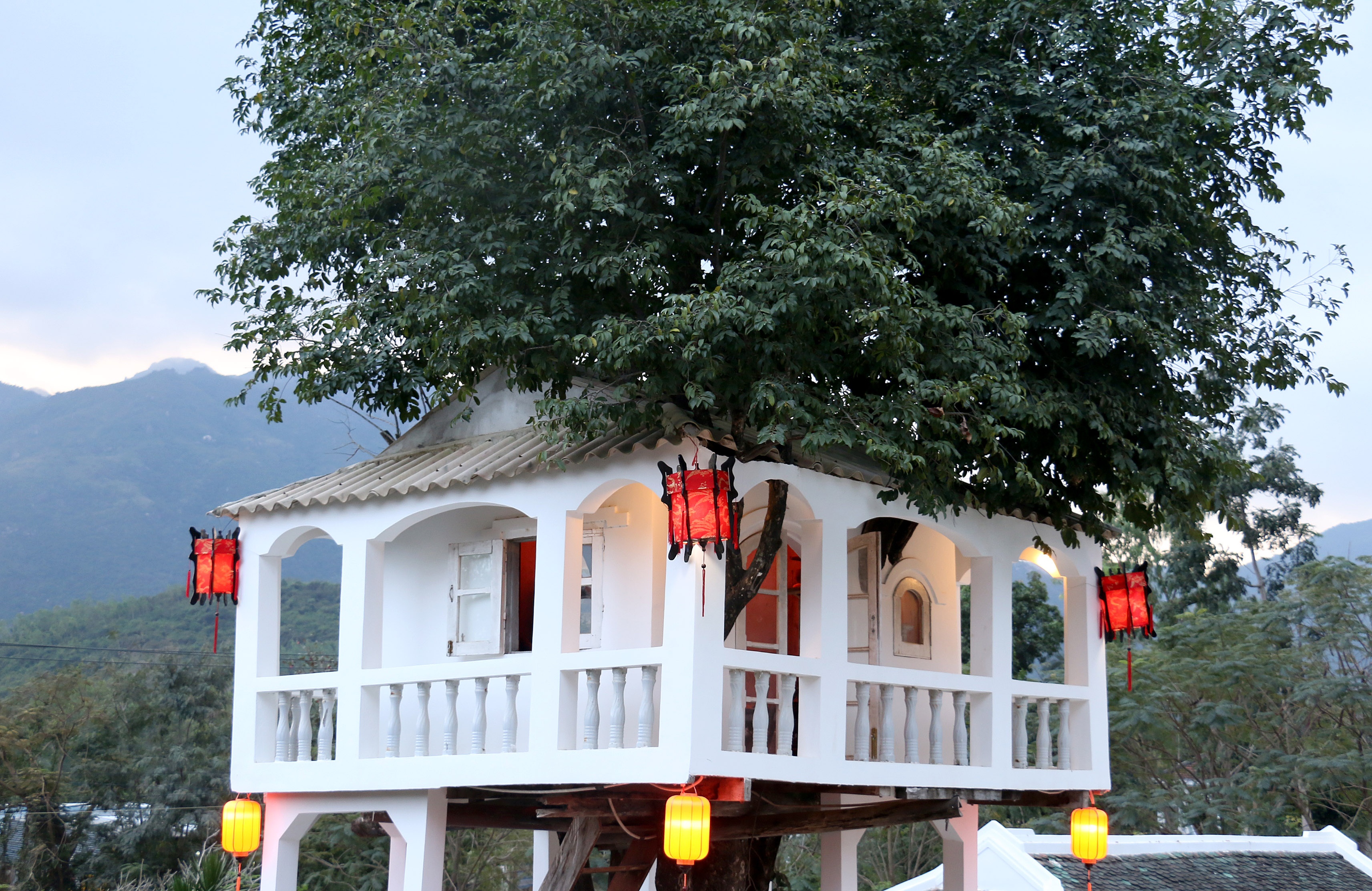 Xay dung nha tren cay anh 3