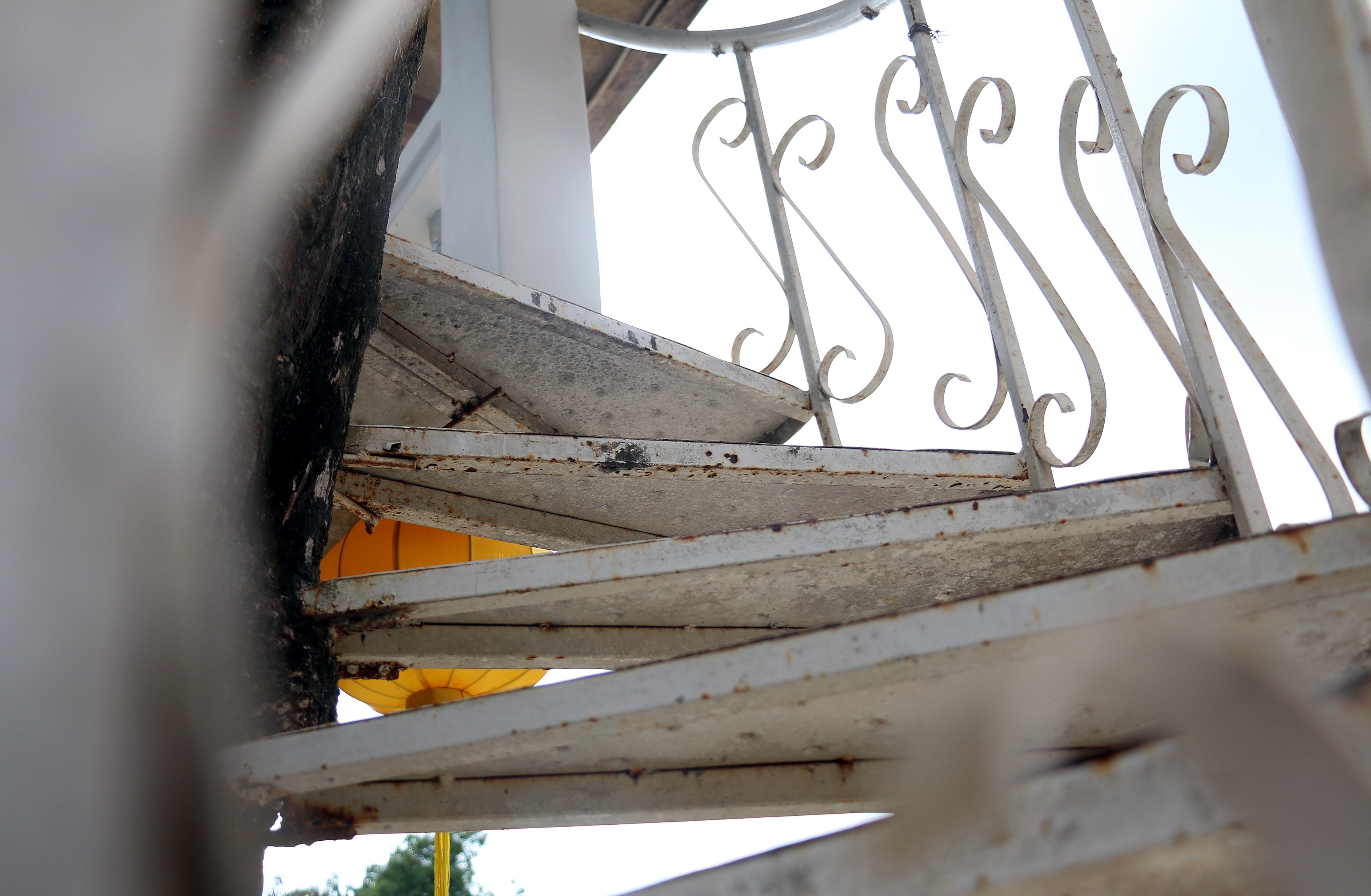 Xay dung nha tren cay anh 4