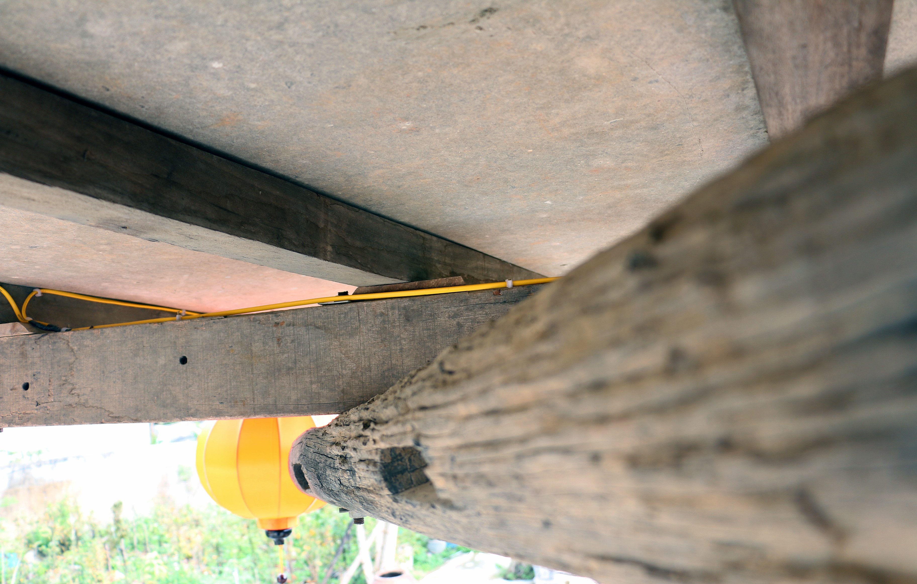 Xay dung nha tren cay anh 5