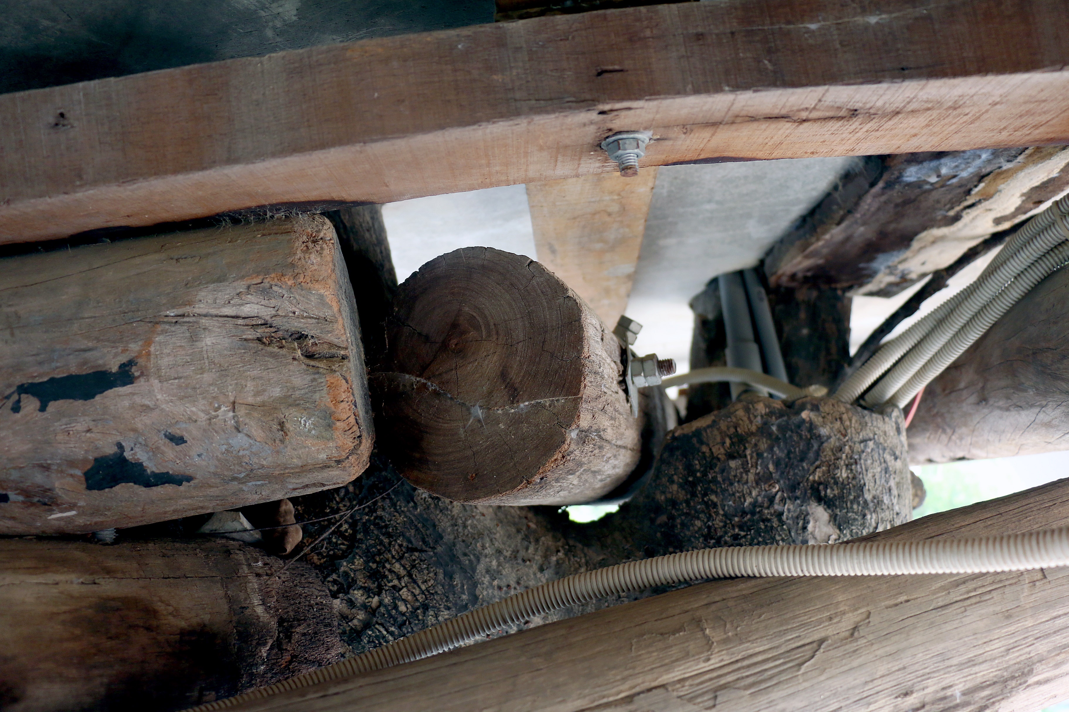 Xay dung nha tren cay anh 6