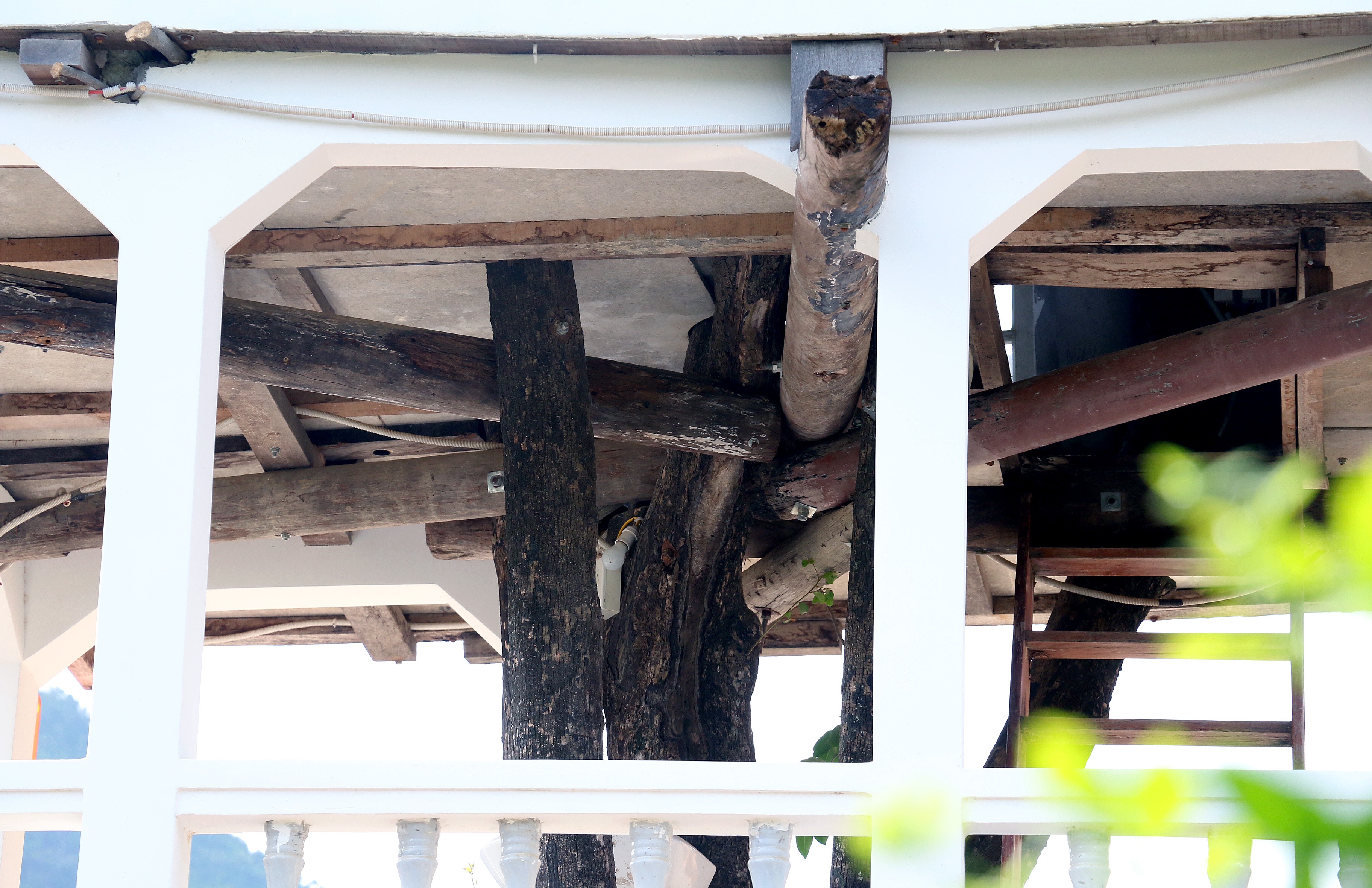 Xay dung nha tren cay anh 7