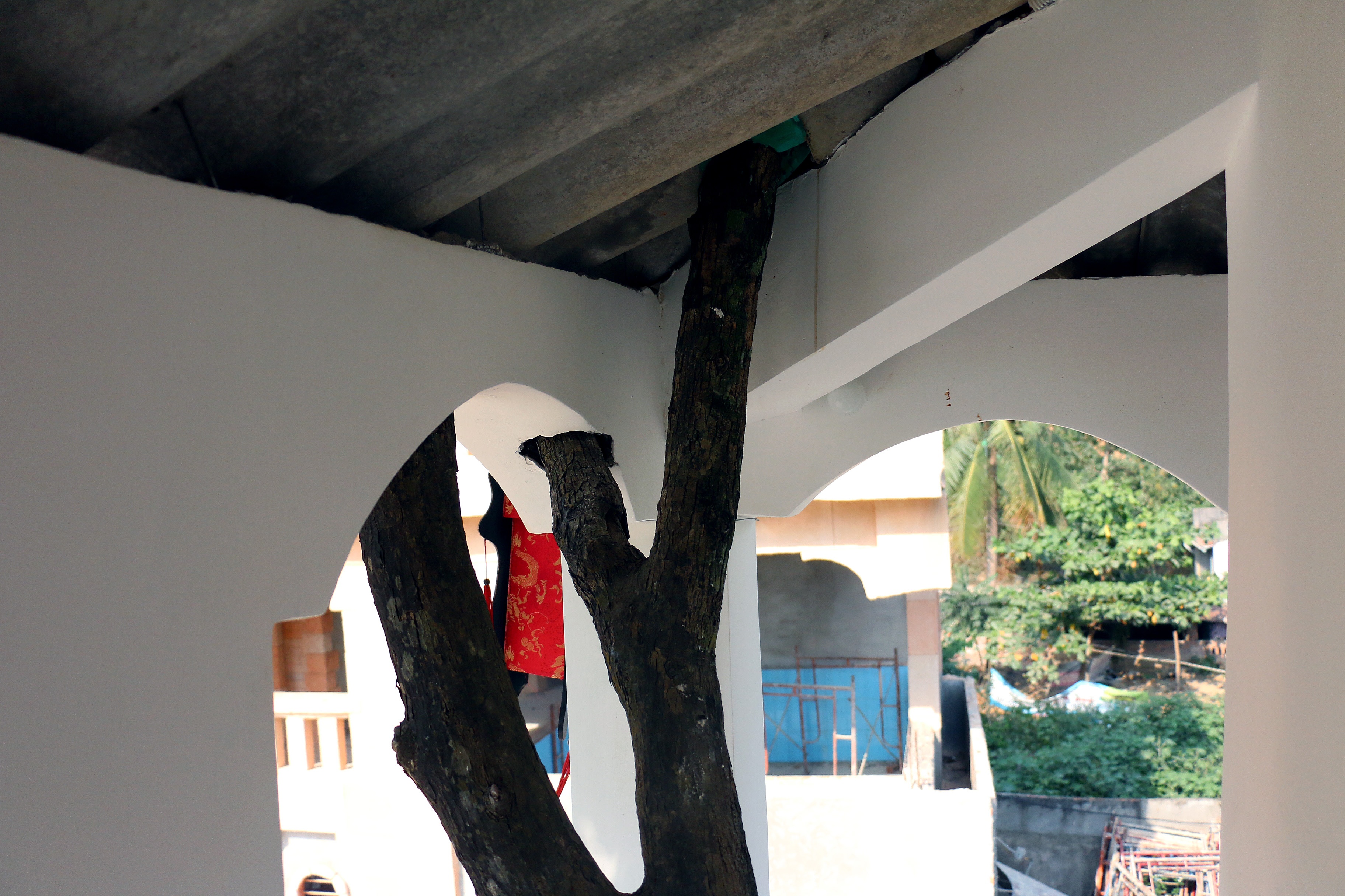 Xay dung nha tren cay anh 8