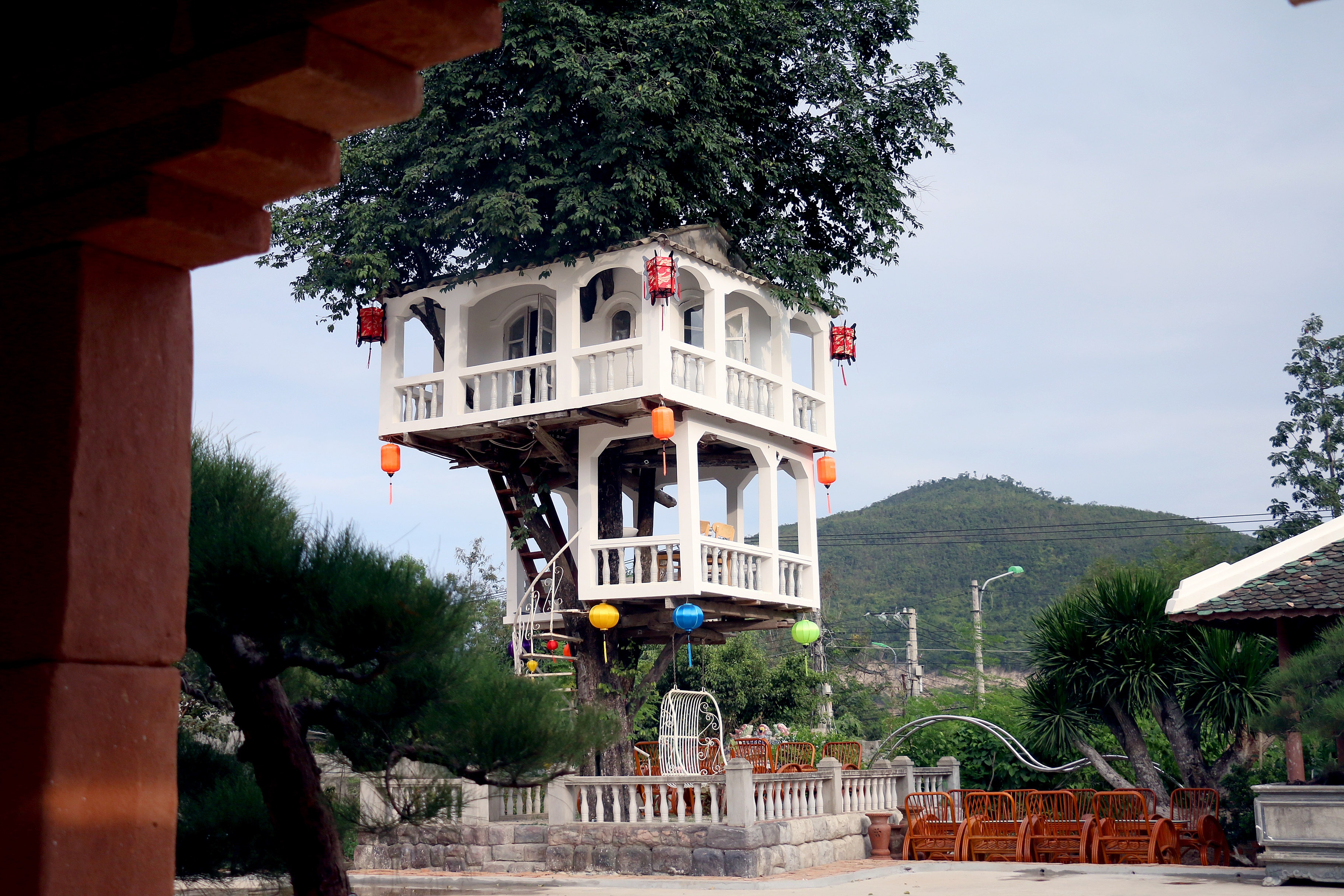 Can canh ngoi nha 2 tang tren cay thi hinh anh