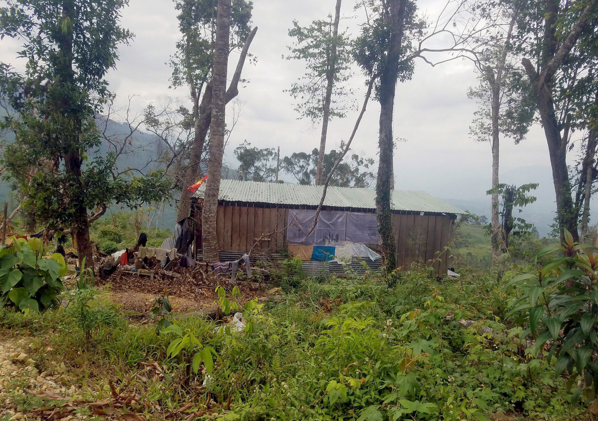 Phong vien bi hanh hung anh 1