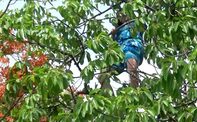 Co gai 25 tuoi nghi ngao da, leo len cay la het hinh anh