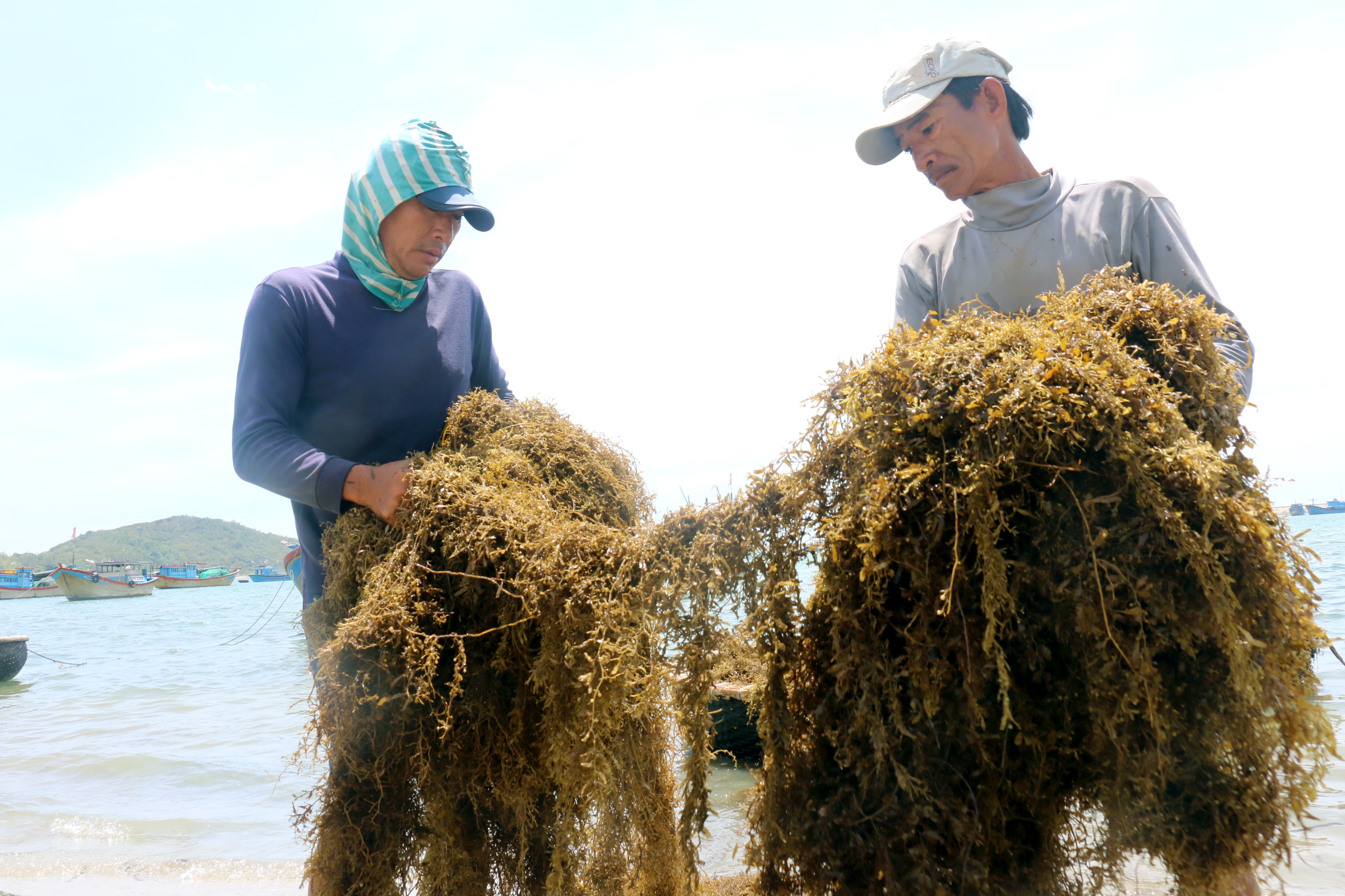 Thuong lai Trung Quoc ep gia rong mo anh 8