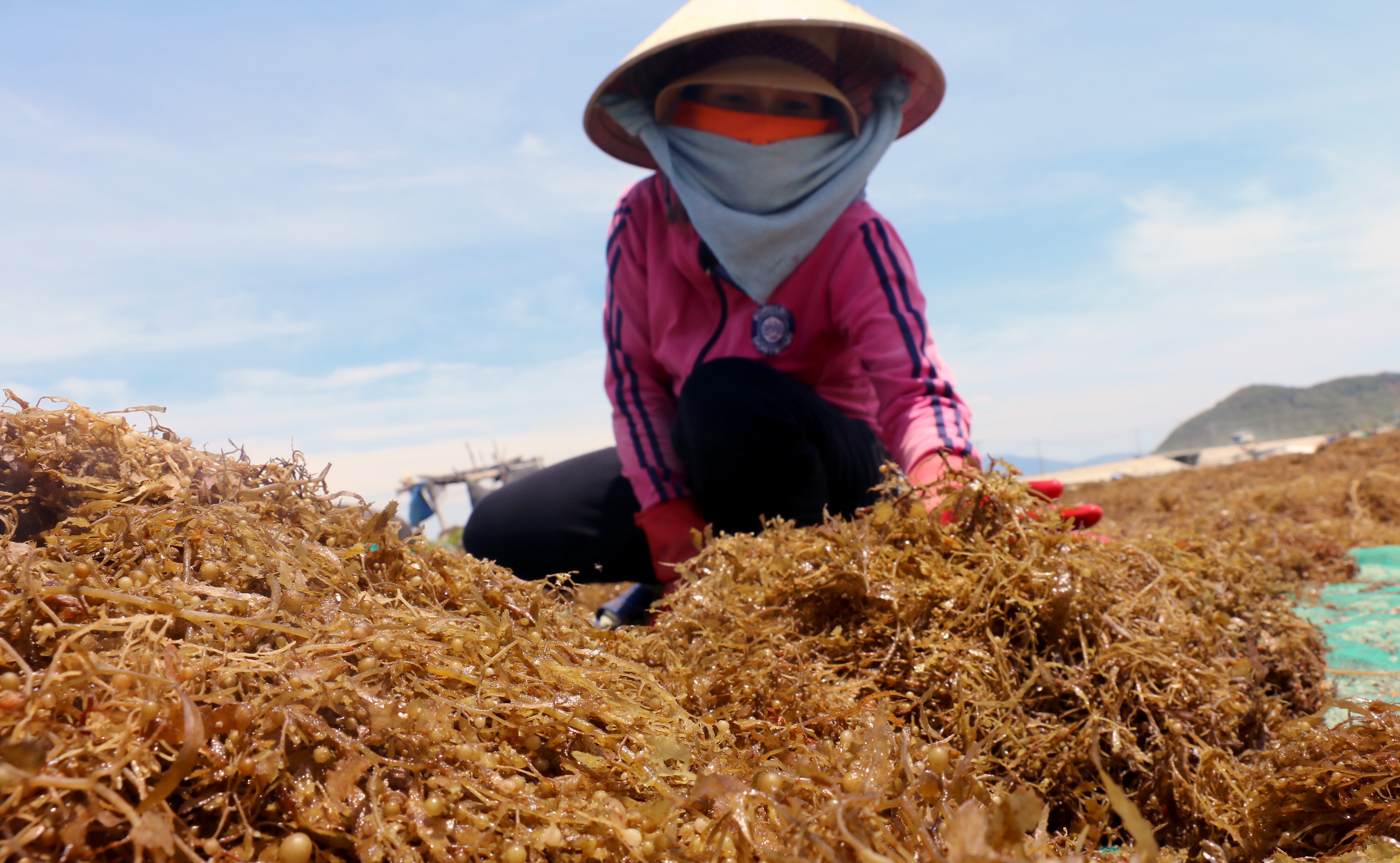 Thuong lai Trung Quoc ep gia rong mo anh 12
