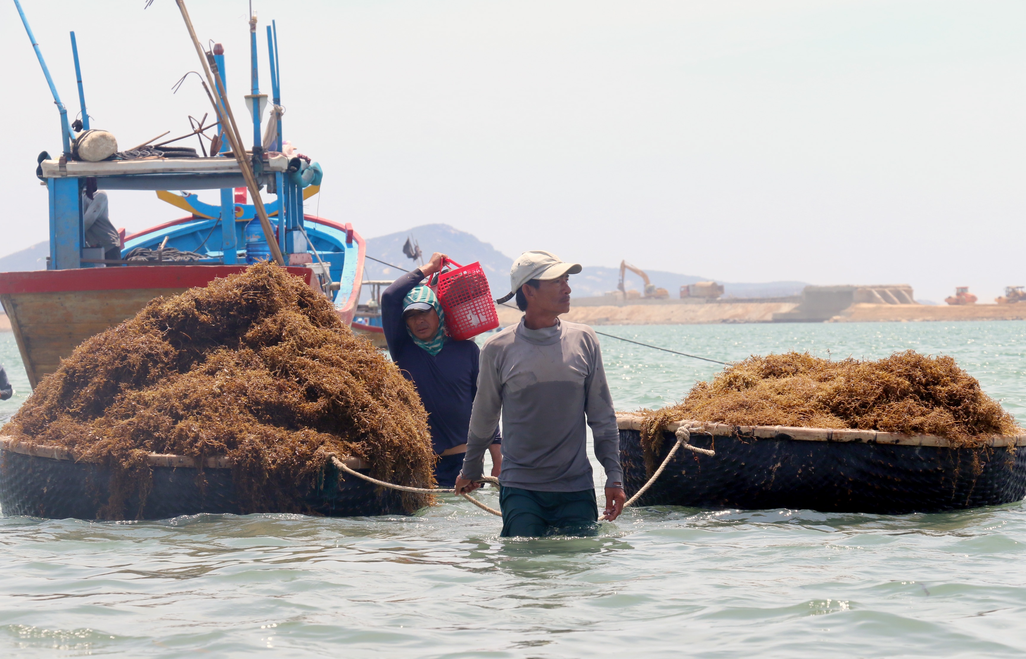Thuong lai Trung Quoc ep gia rong mo anh 1