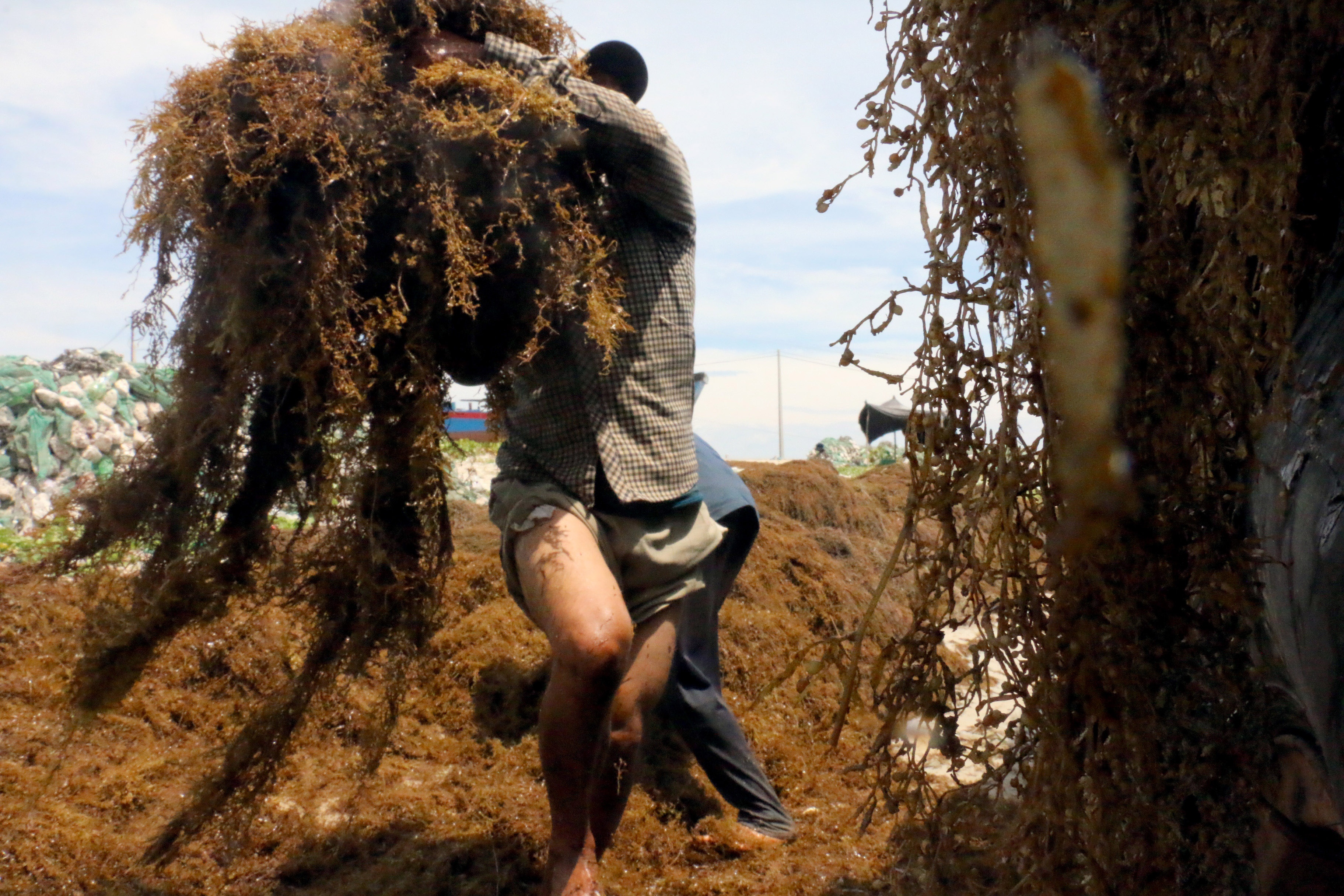 Thuong lai Trung Quoc ep gia rong mo anh 4