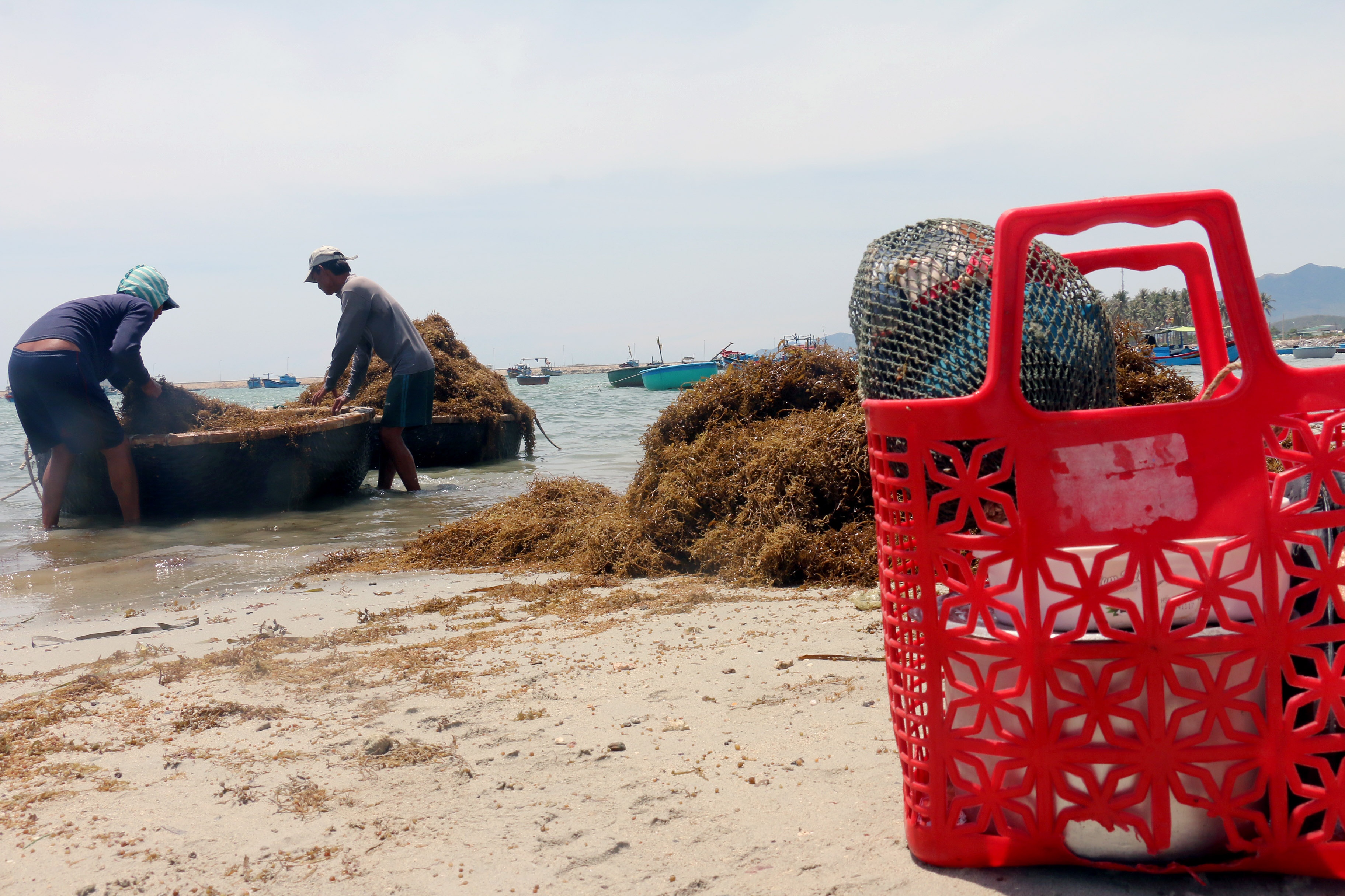 Thuong lai Trung Quoc ep gia rong mo anh 7