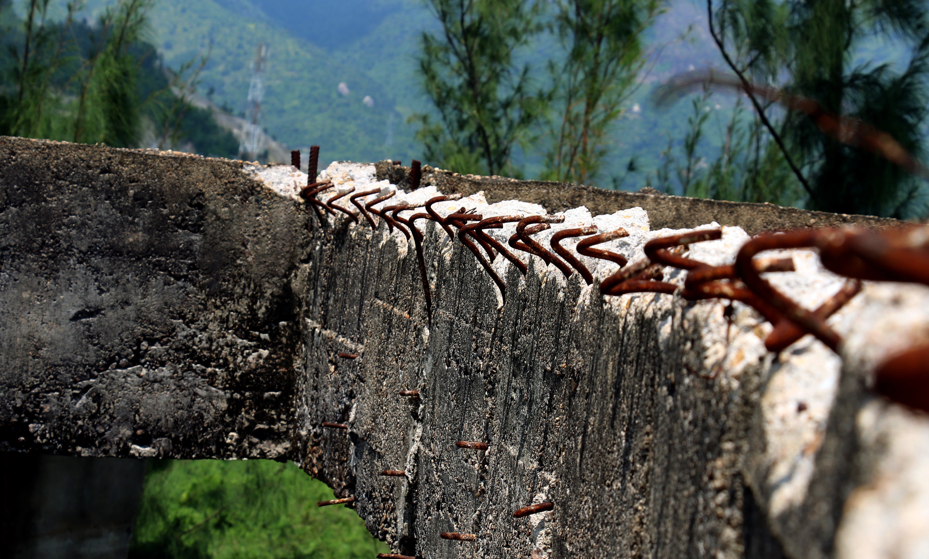 Noi nha ma o bai bien Dai Lanh anh 14