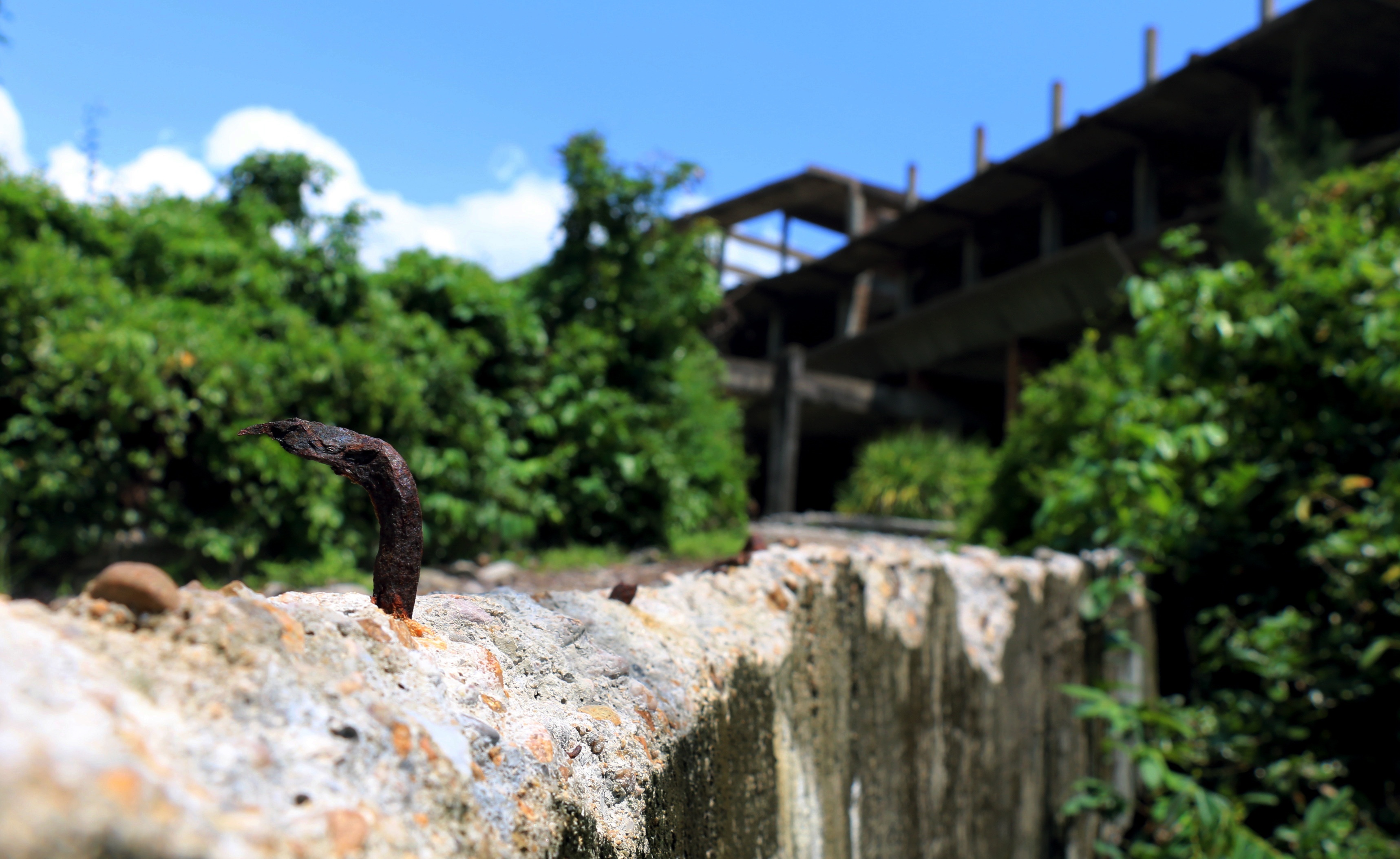 Noi nha ma o bai bien Dai Lanh anh 3