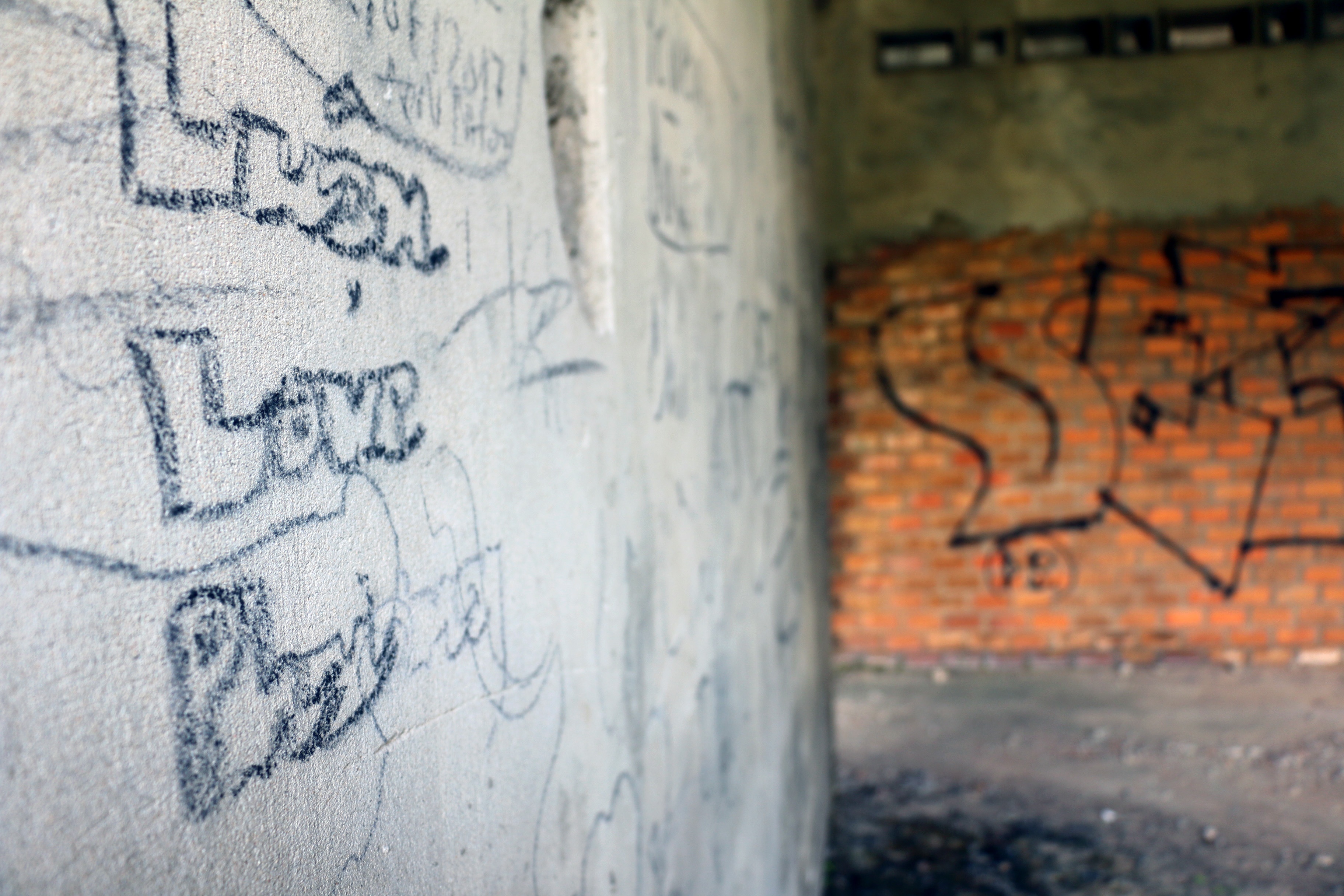 Can canh toa nha bo hoang 30 nam hinh anh