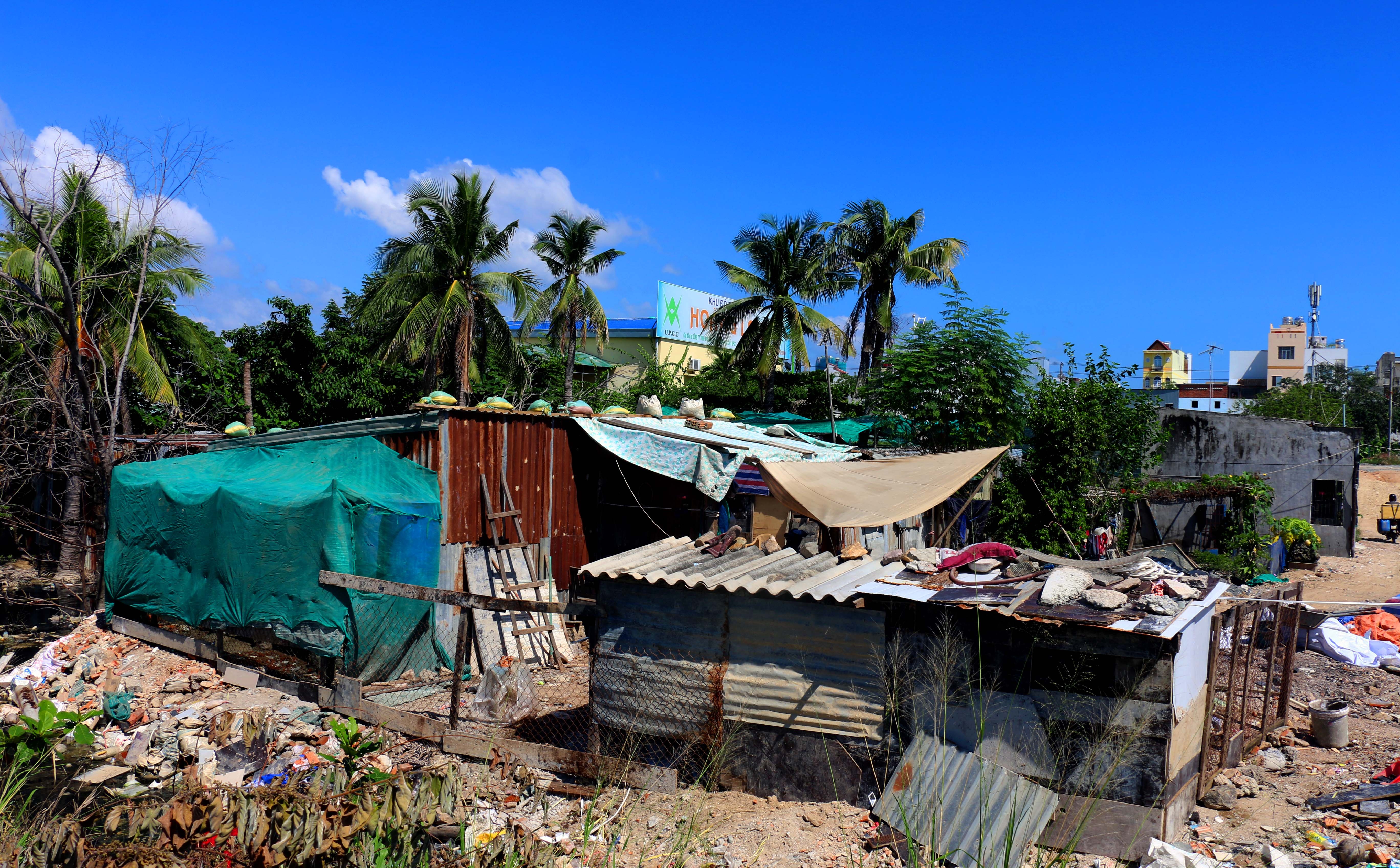 Phó chủ tịch TP Nha Trang  ảnh 3 Pho chu tich TP Nha Trang anh 3
