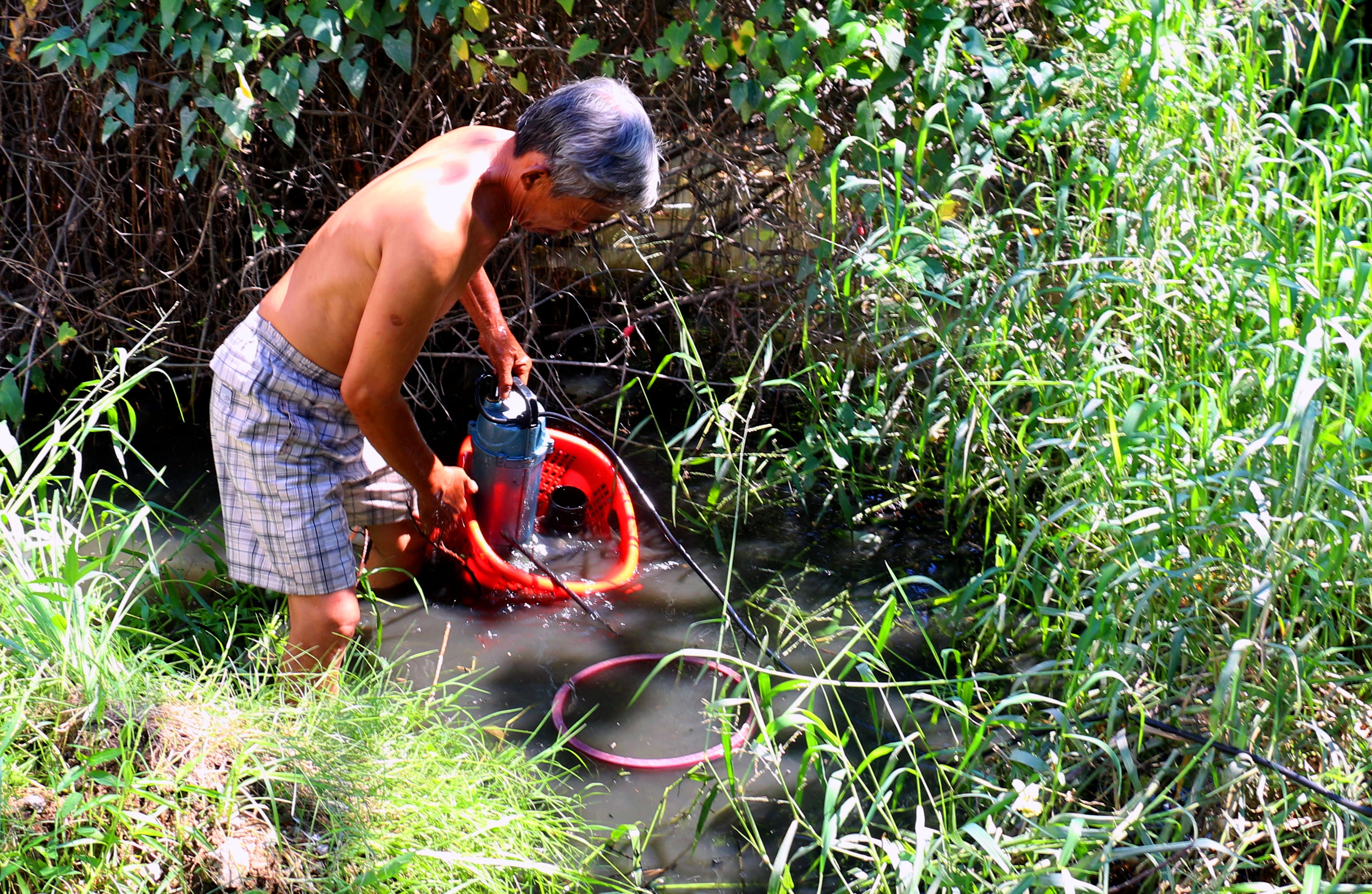 Dan song kho so trong khu du an Hoang Long hinh anh