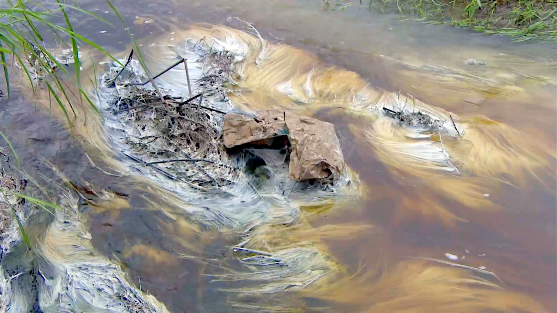 Cong ty mia duong Tuy Hoa xa thai chua qua xu ly ra moi truong hinh anh